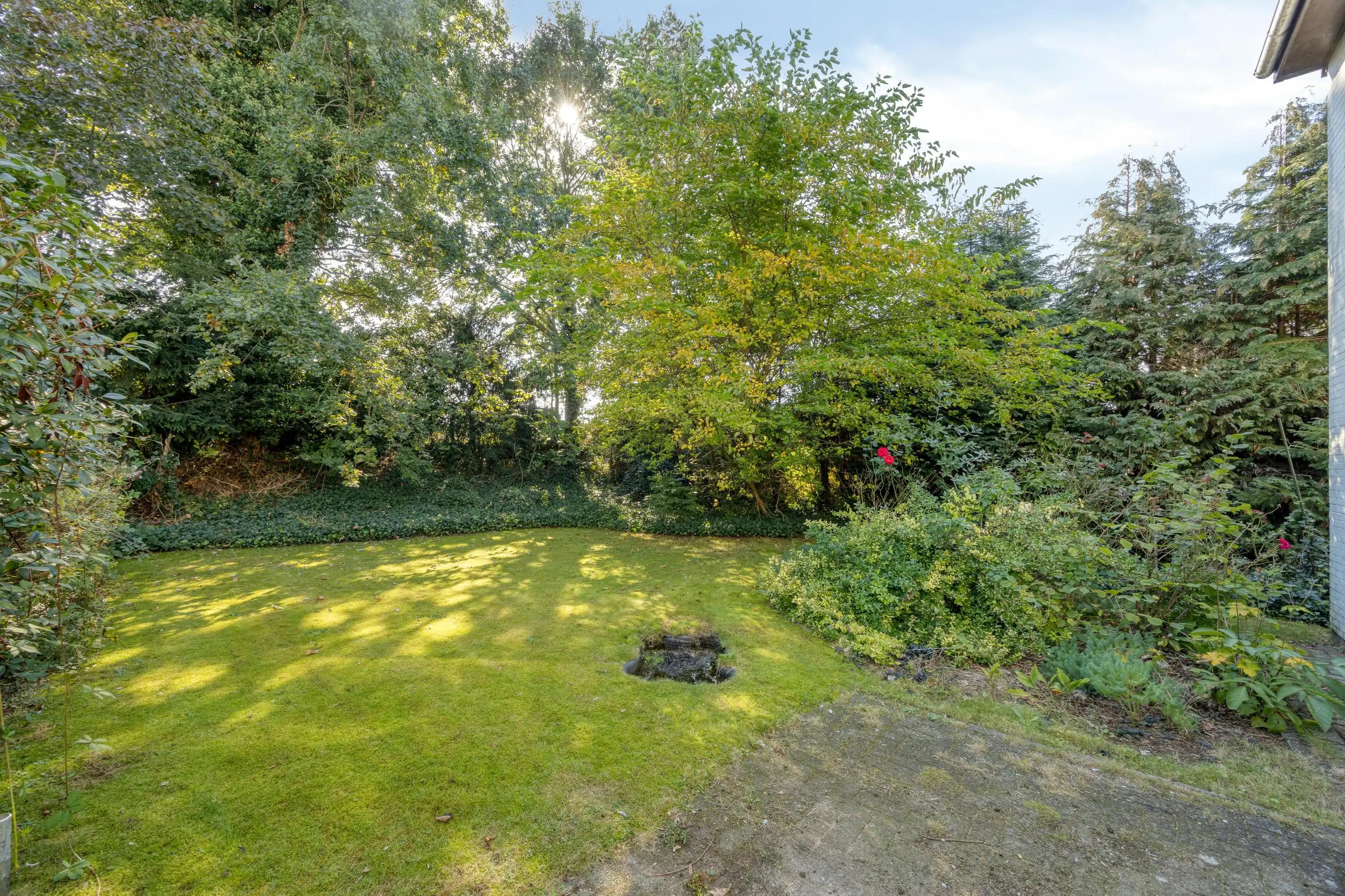 Goed gelegen, te renoveren huis te koop in Lichtaart foto 23