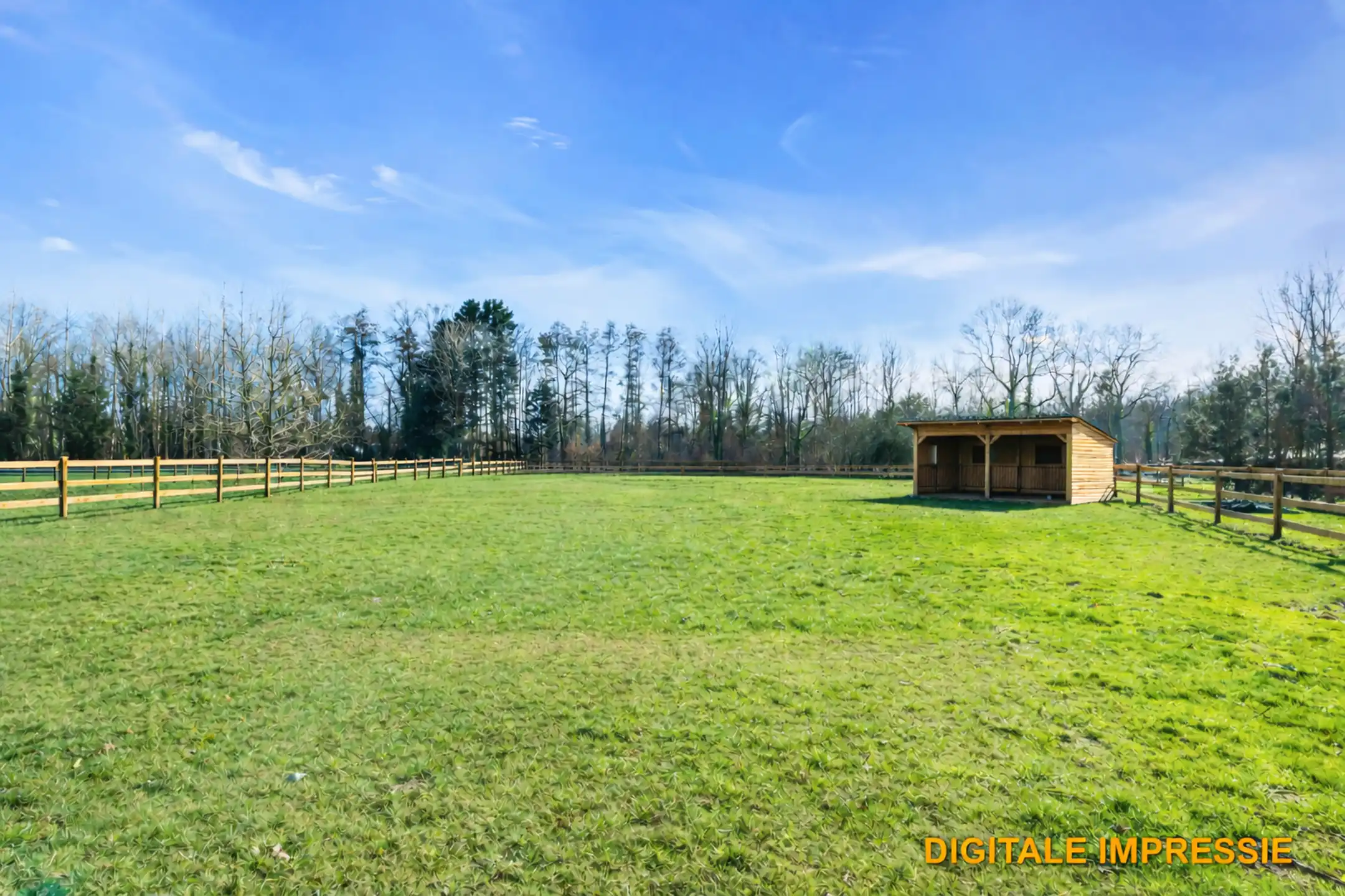 NIEUWRODE - Te renoveren woning op 25a50 foto 5