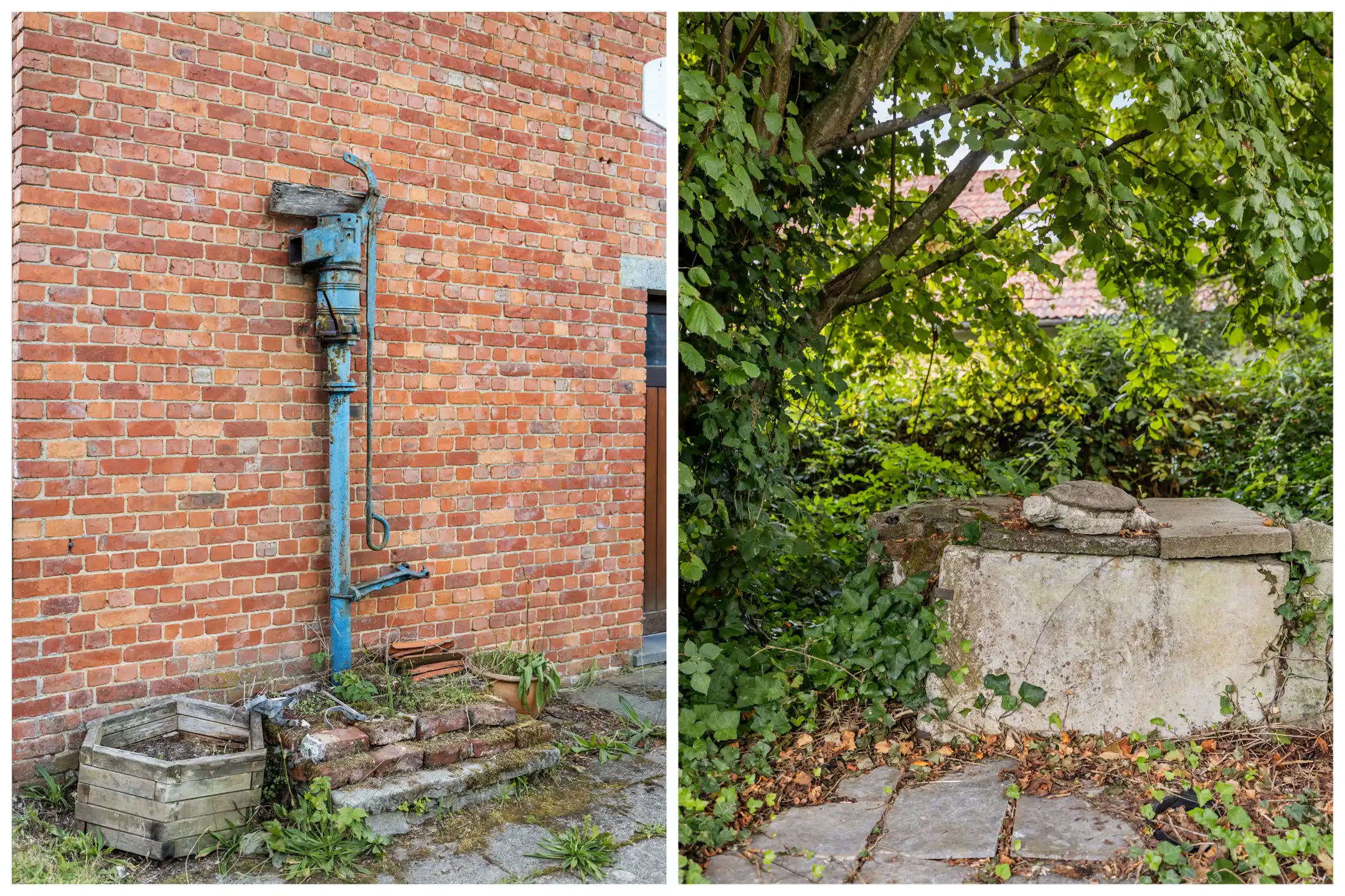 Gezellige woning met  grote tuin en open zicht  op 11a 70ca foto 5