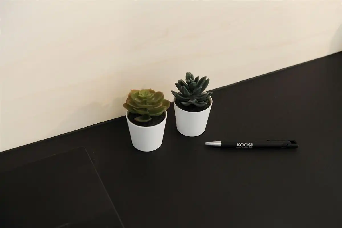 Top gerenoveerd gelijkvloersappartement foto 22