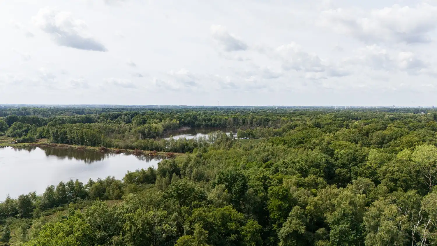 Halfopen bebouwing aan de rand van De Maten. foto 9
