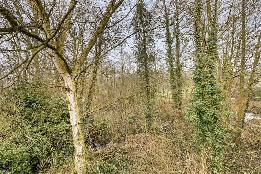 Bouwgrond te koop in Tessenderlo-Ham op perceel van 16a 76ca foto 9