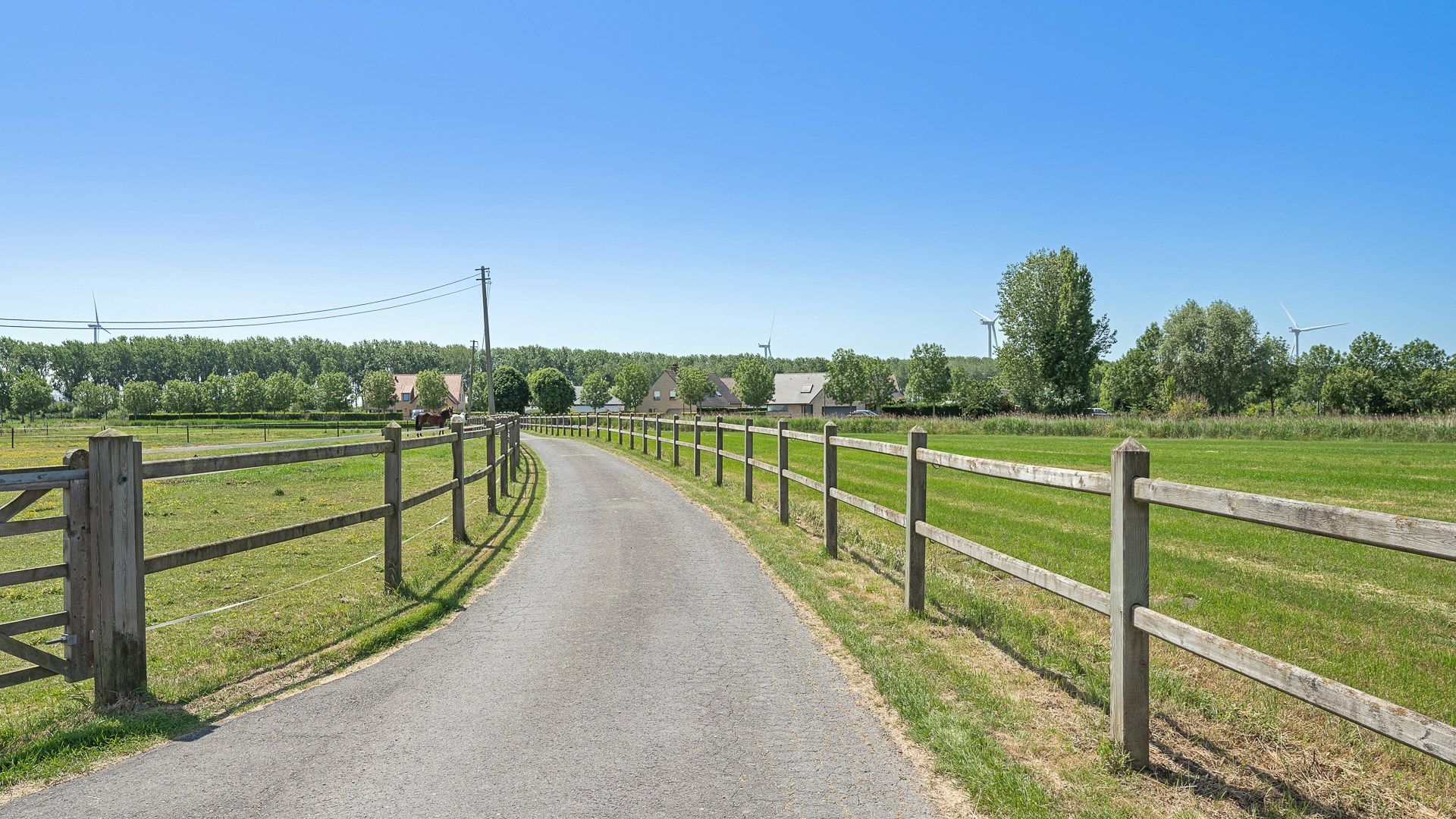 Unieke eigendom voor paardenliefhebbers te Knokke-Heist foto 14