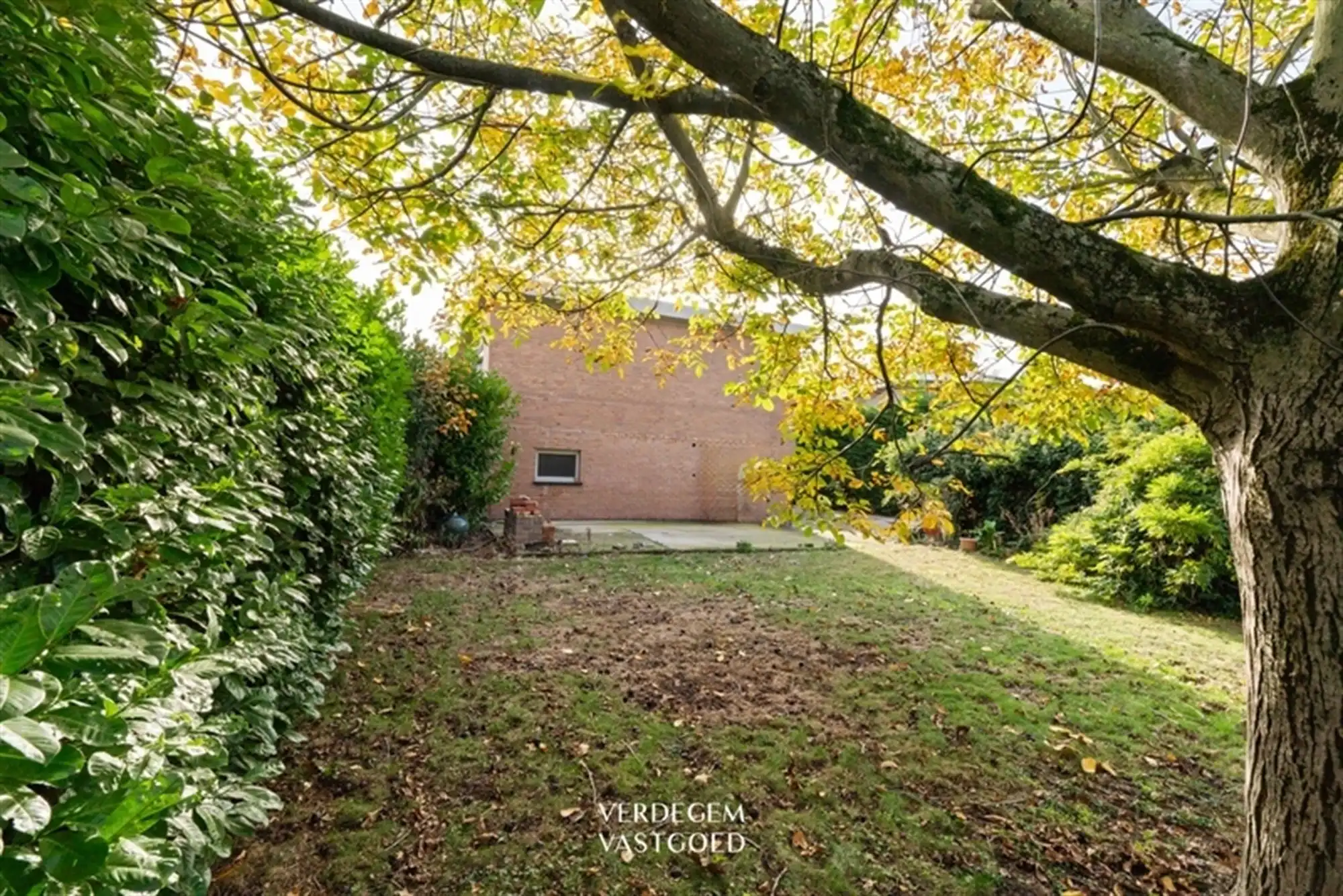 Projectgrond voor 4 appartementen of totaalrenovatie op topligging foto 2