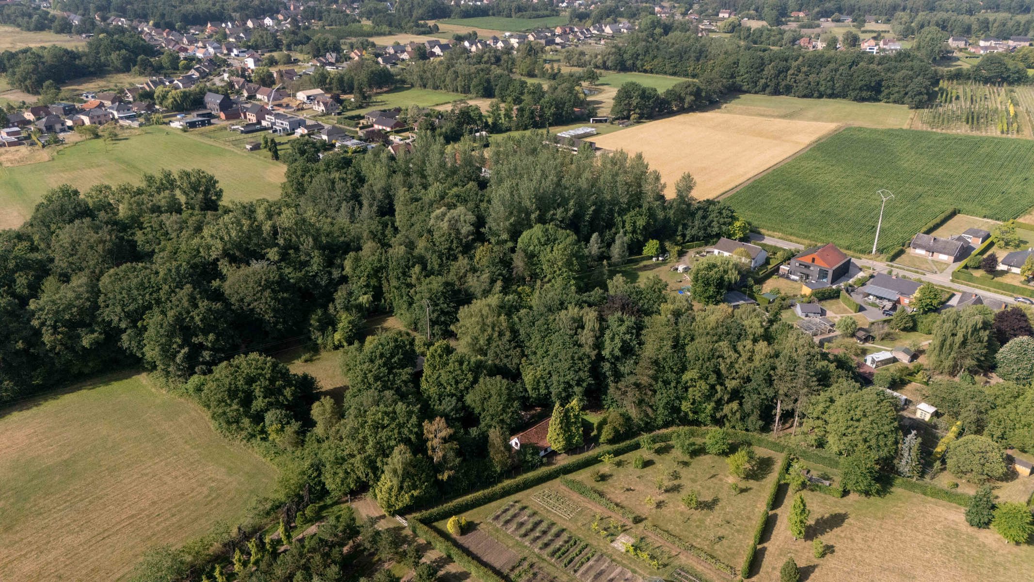 Unieke hoeve op domein van 1,5 ha – pure rust en natuurbeleving in het groen foto 24