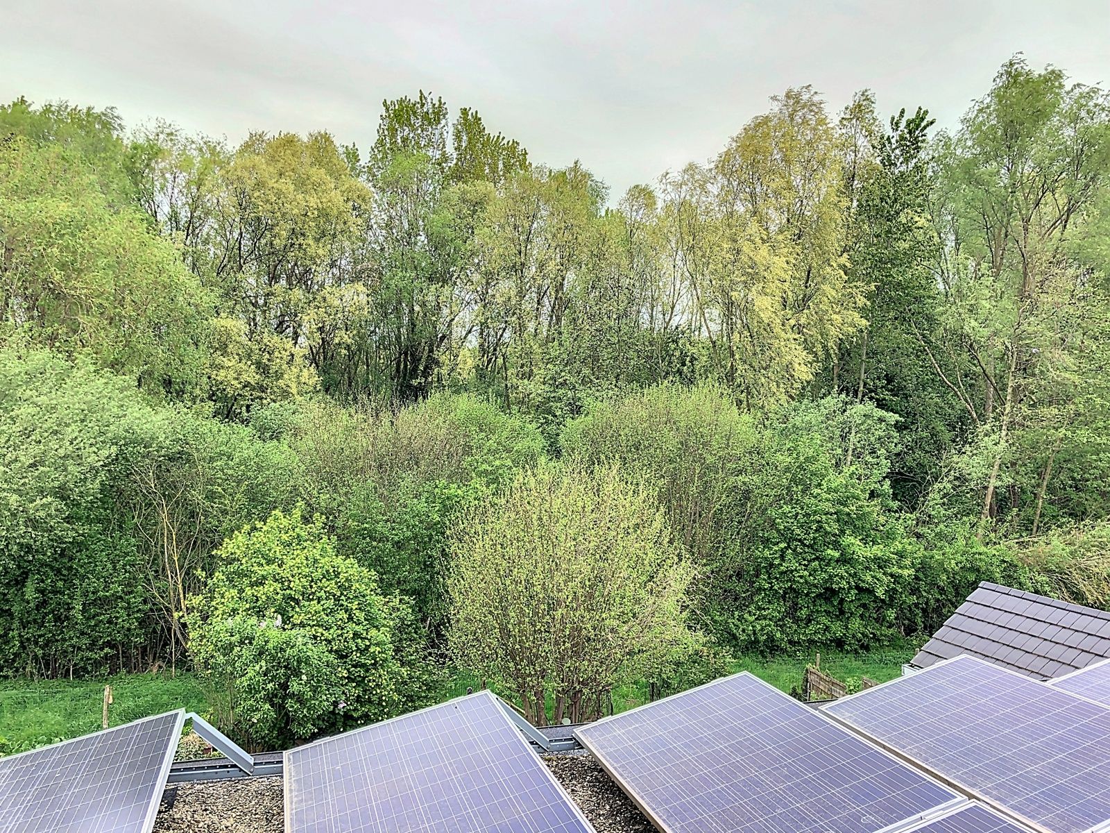 Ruim energiezuinig huis met mog. tot uitbreiding / praktijk. foto 31