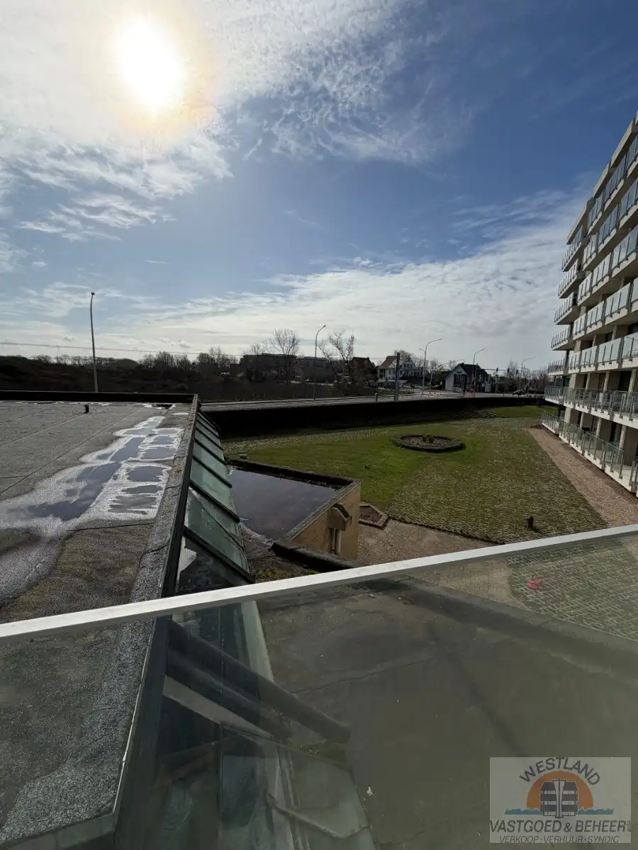 Ruime studio met zicht op de duinen foto {{pictureIndex}}