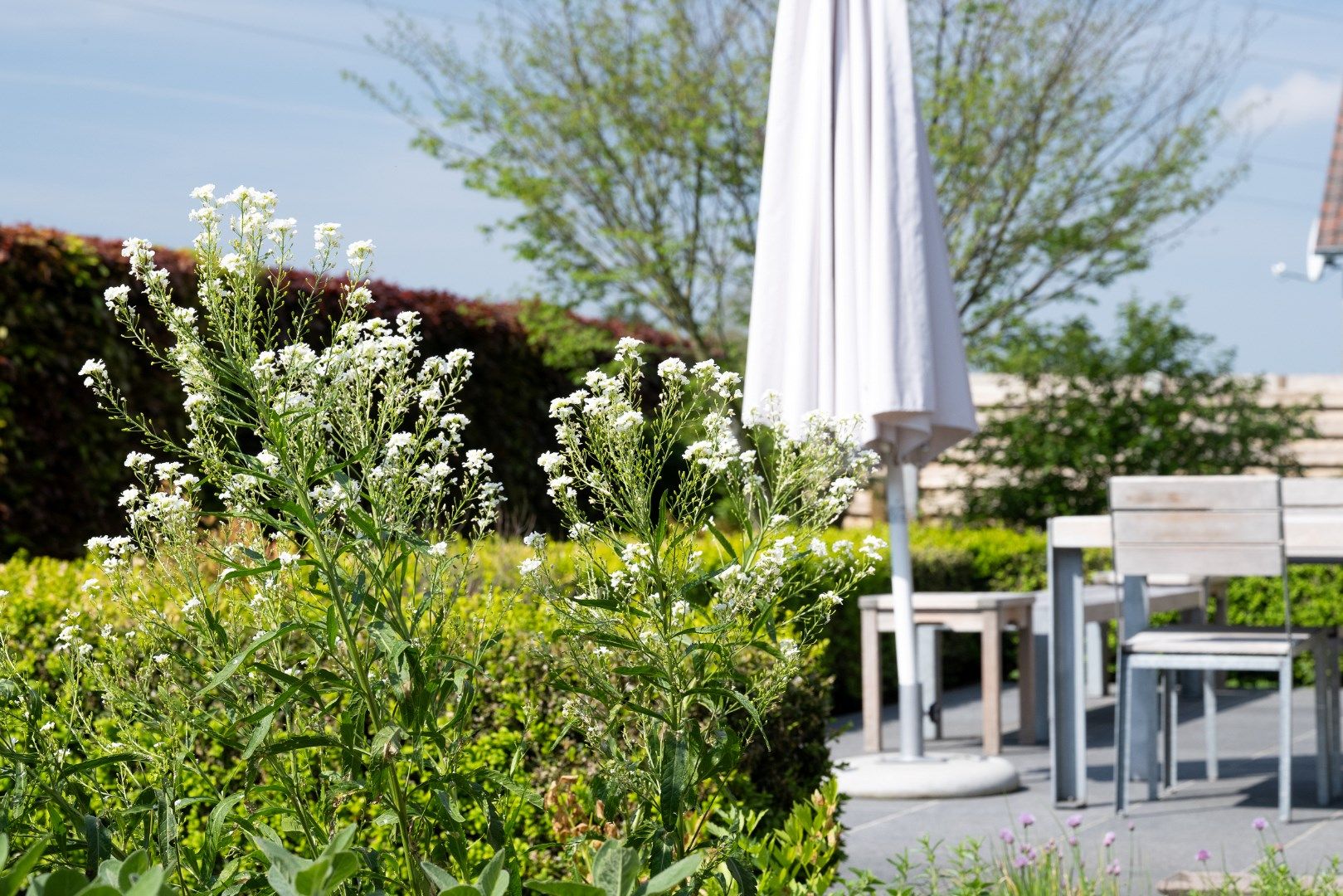 Luxueus afwerkt landhuis   foto 24