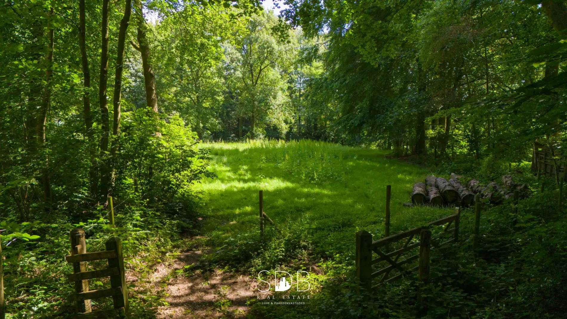 Prachtig kasteel met omringend park, weilanden en stalgebouw op circa 5hectare foto 33