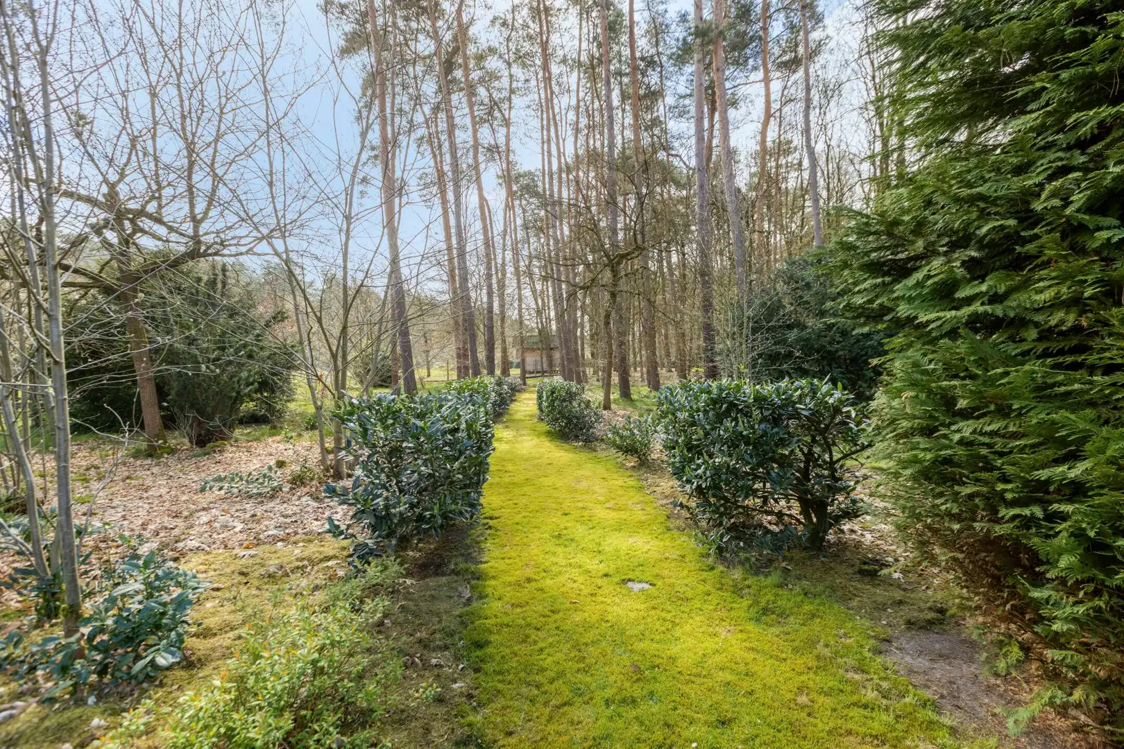 Schepersweg 116, 3600 Genk foto 26