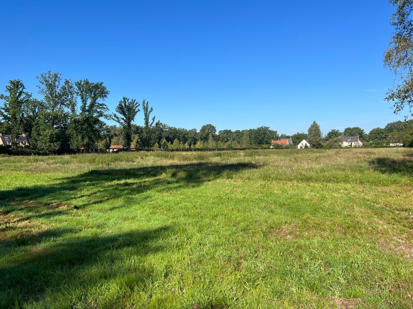 Uitzonderlijk villaperceel in Schilde (21.954 m²) foto 7