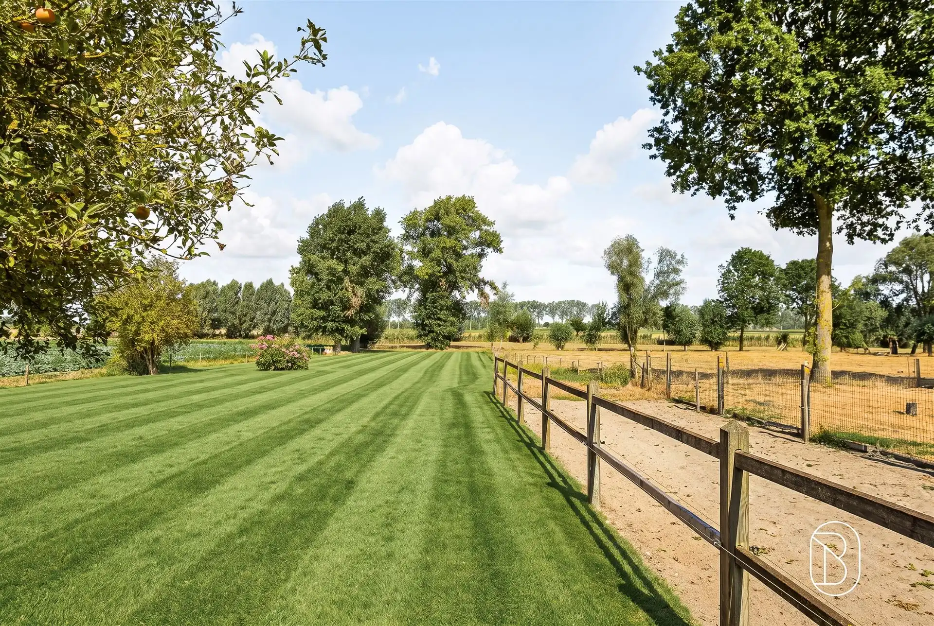 Prachtige klassewoning met paardenaccomodatie foto 8