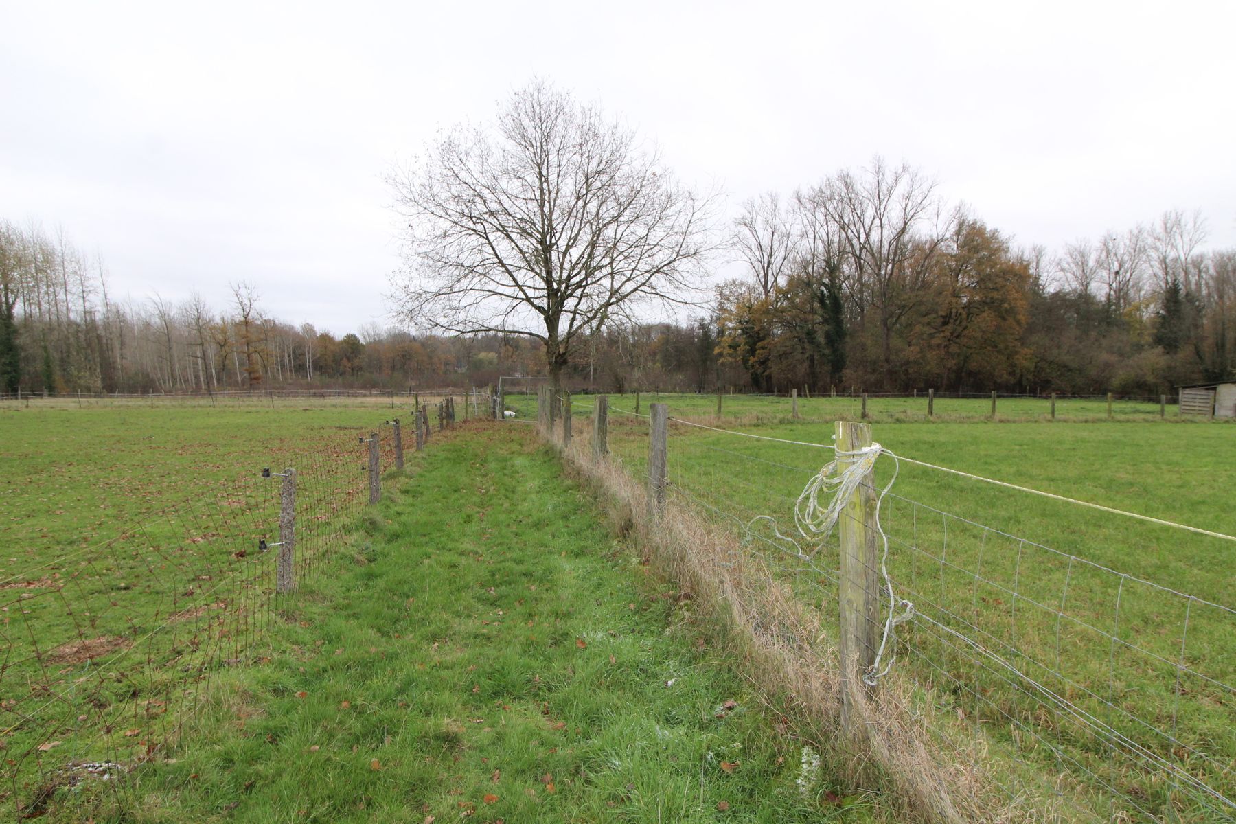 Asbeek: achtergelegen weide  foto 5