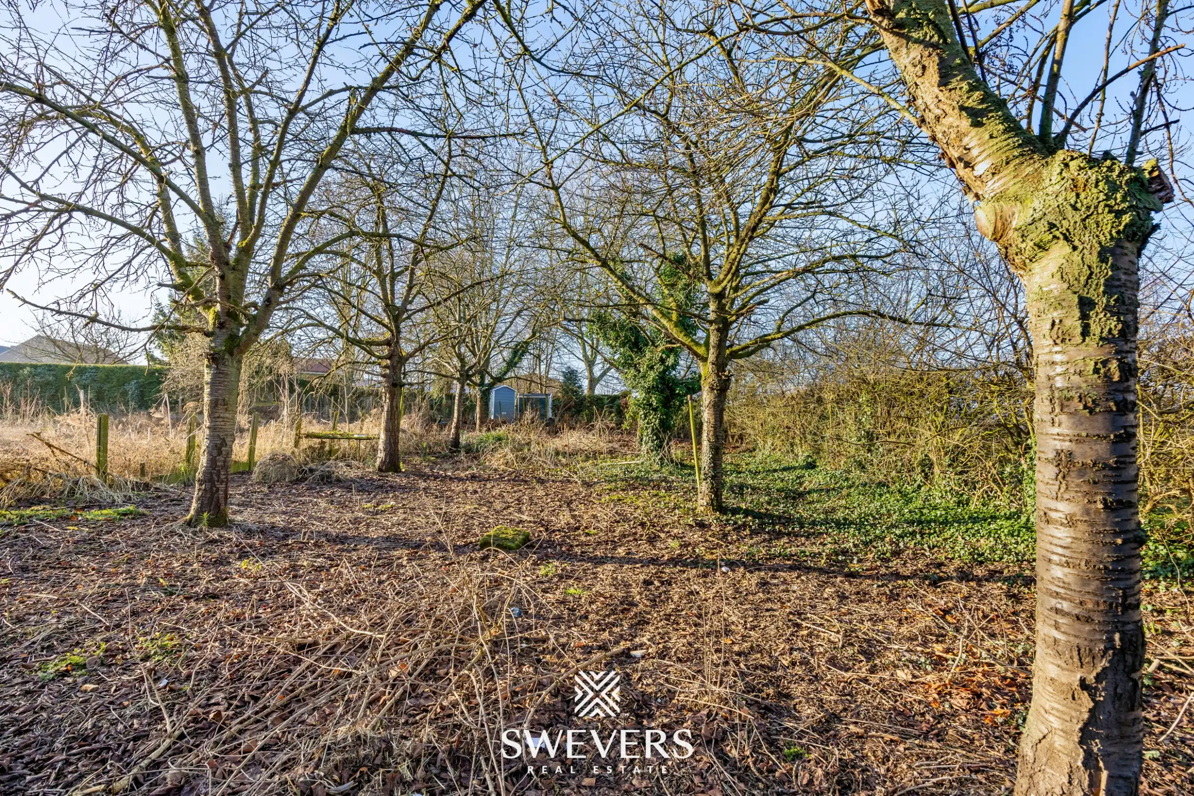 Charmante woning met potentieel te Heers   foto 30