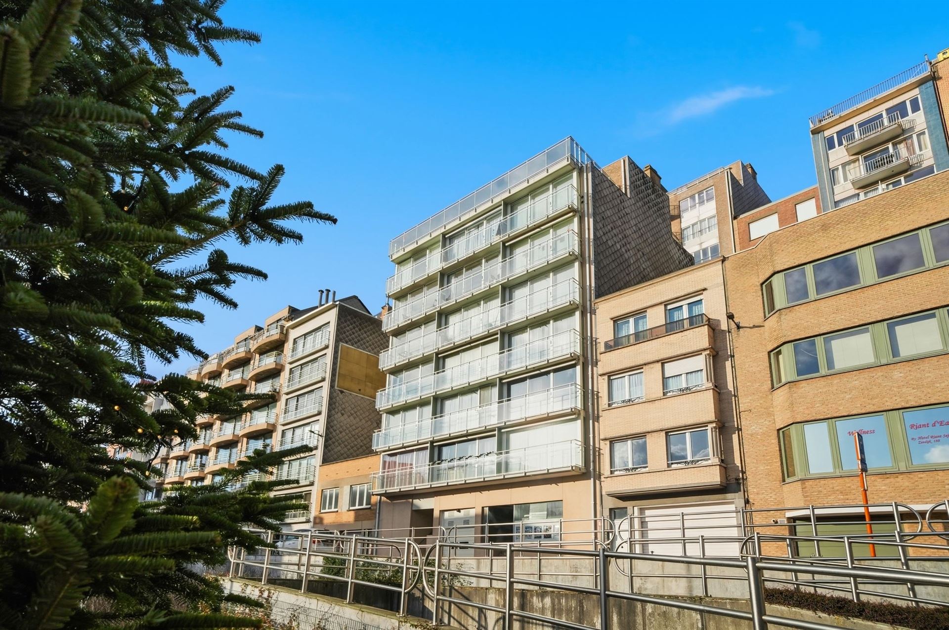 GROTE TERRASSEN / ZONNIG  foto 44