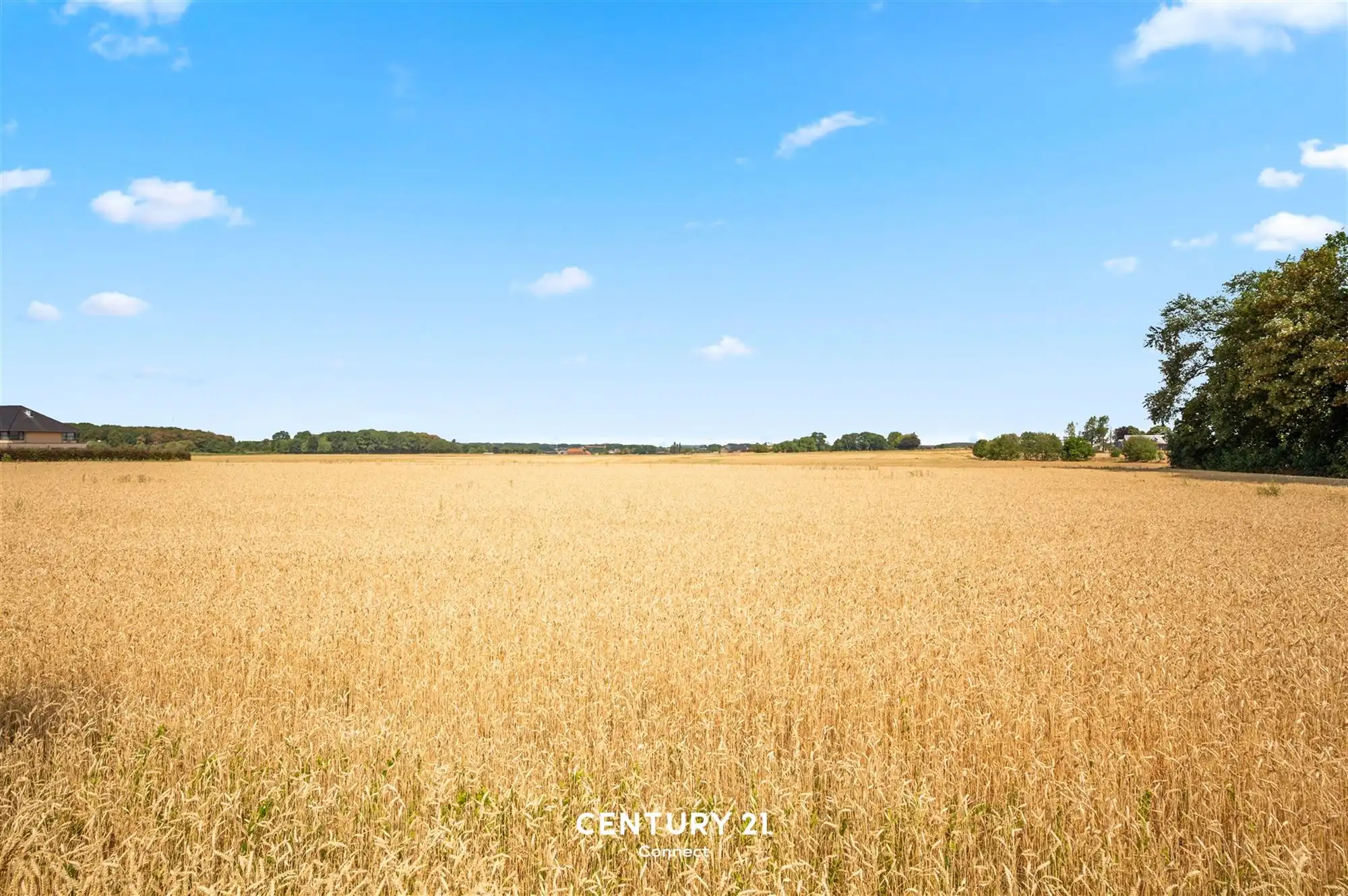 Rustig wonen in Pellenberg! foto 21