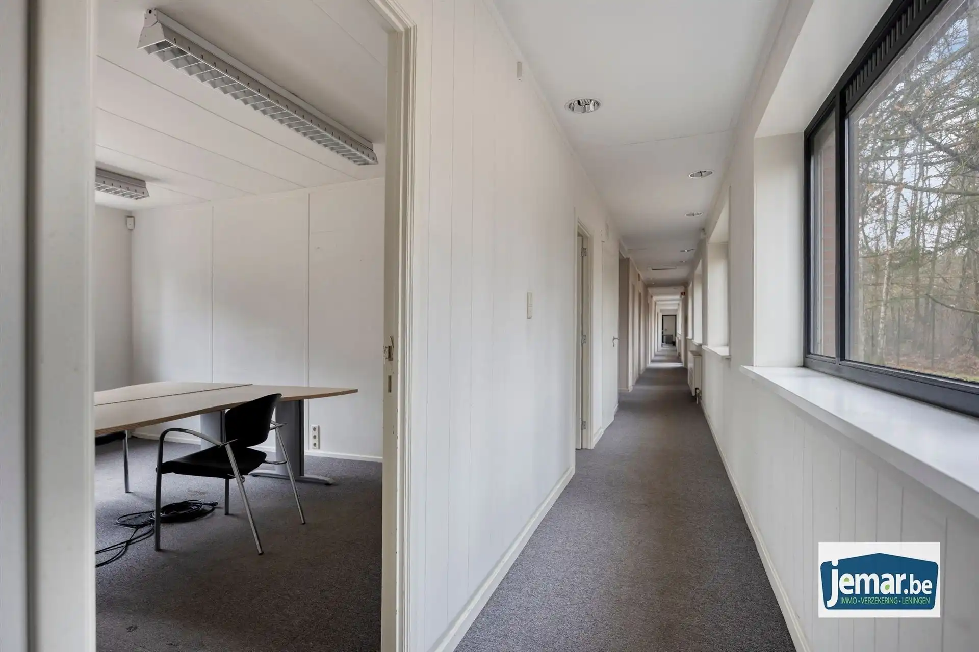 Villa met professionele opslagruimte, kelder en kantoorruimtes. foto 77