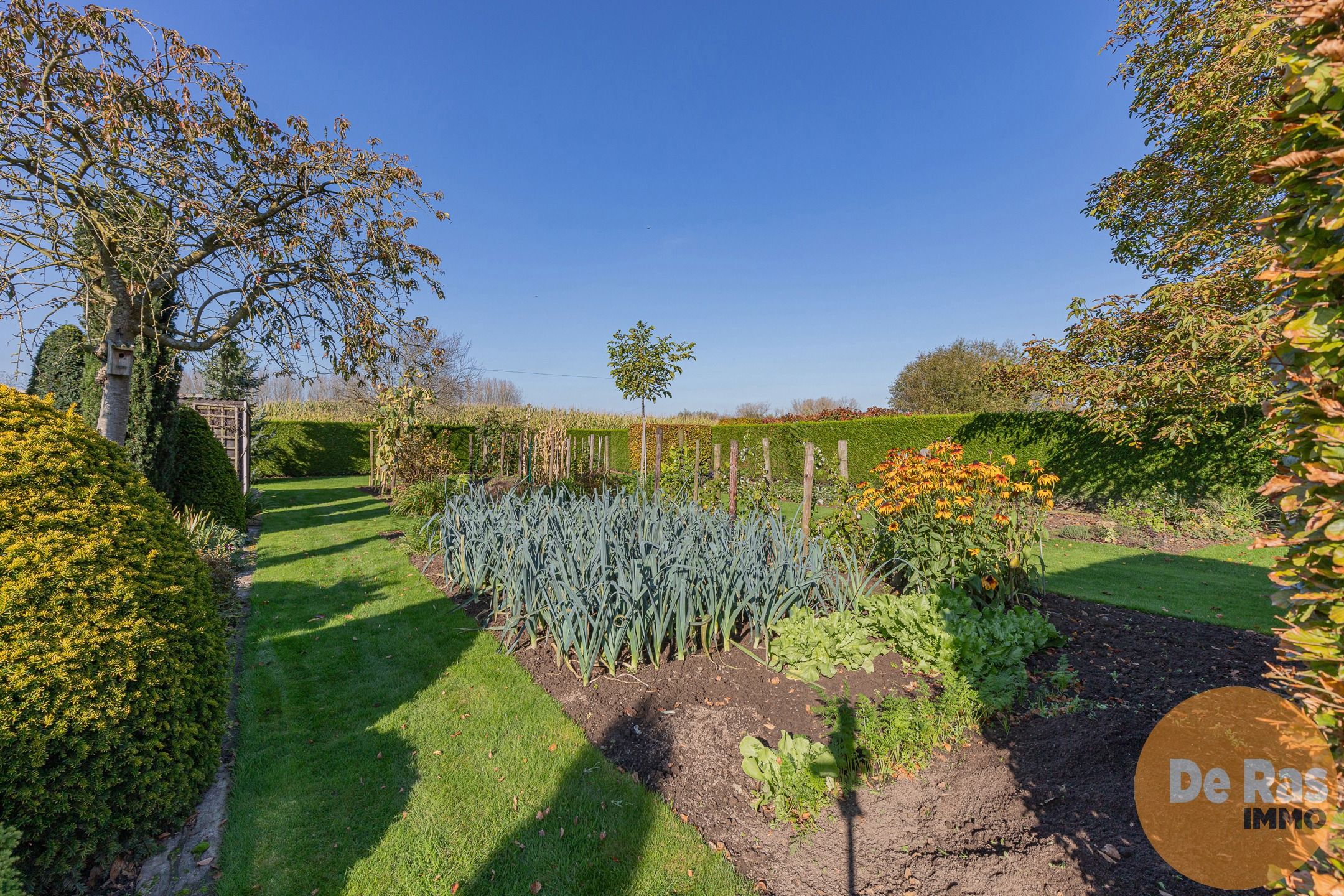 BAMBRUGGE - Verzorgde open bebouwing met aangelegde tuin foto 28