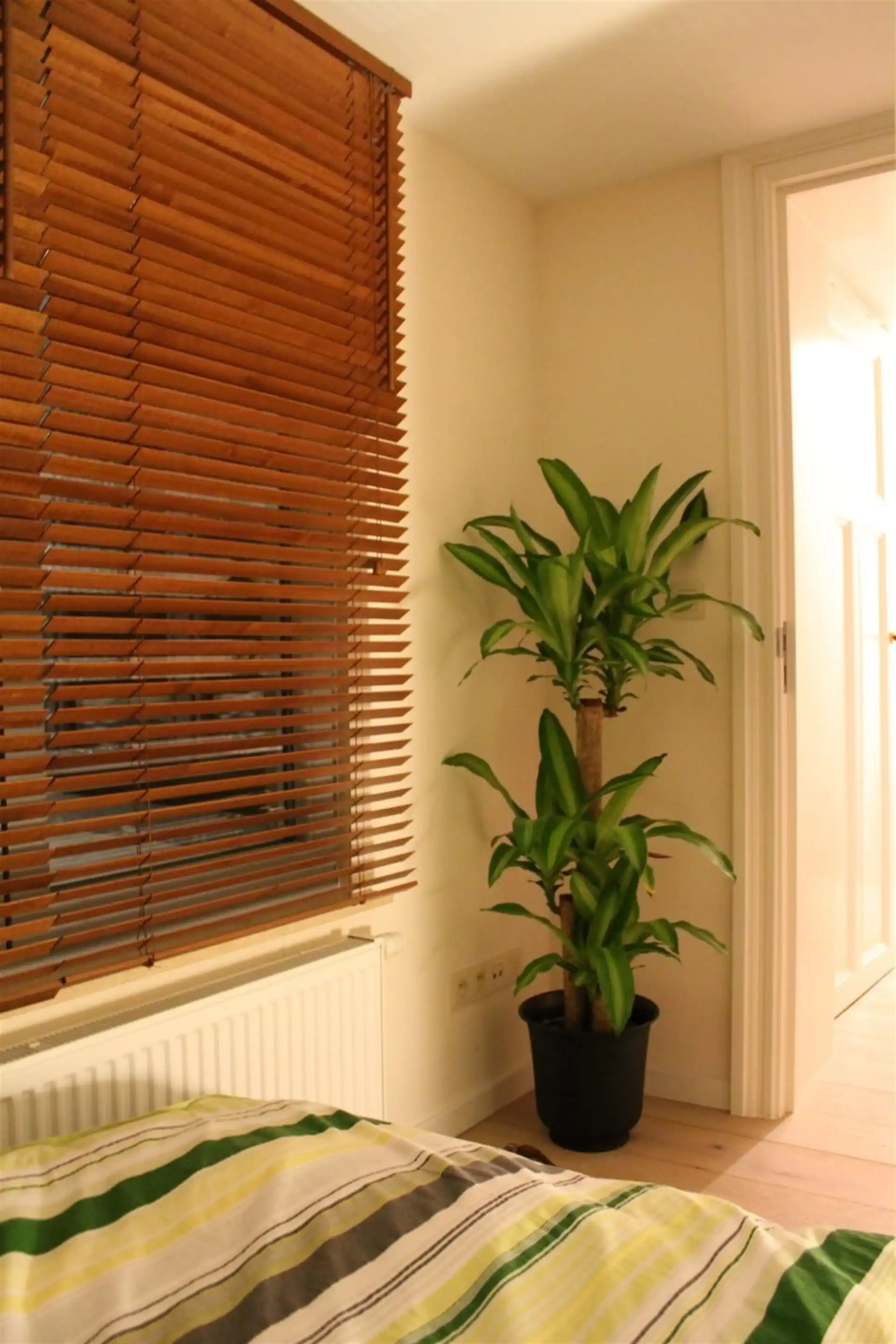 Verrassend ruim gelegen appartment met zicht op het water.  foto 20