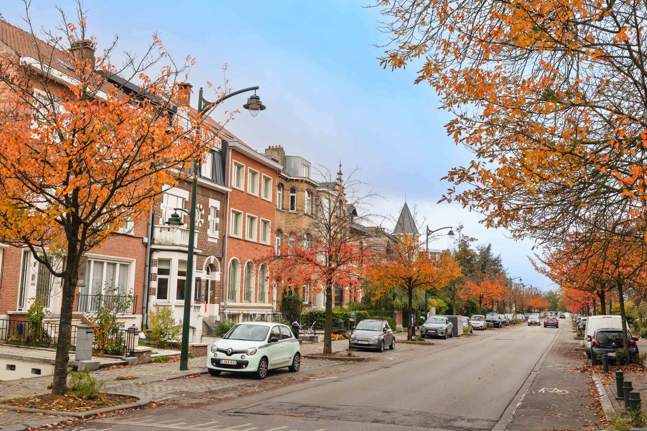 Zeer licht! Begane grond met 1 slaapkamer + bureau. foto 15