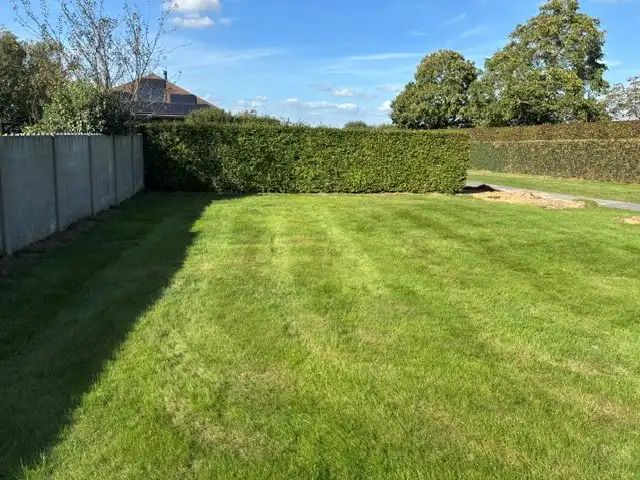 Te moderniseren halfopen woning met 2 slaapkamers (meer mogelijk), grote tuin en garage op een totale grondoppervlakte van 645m². foto 7
