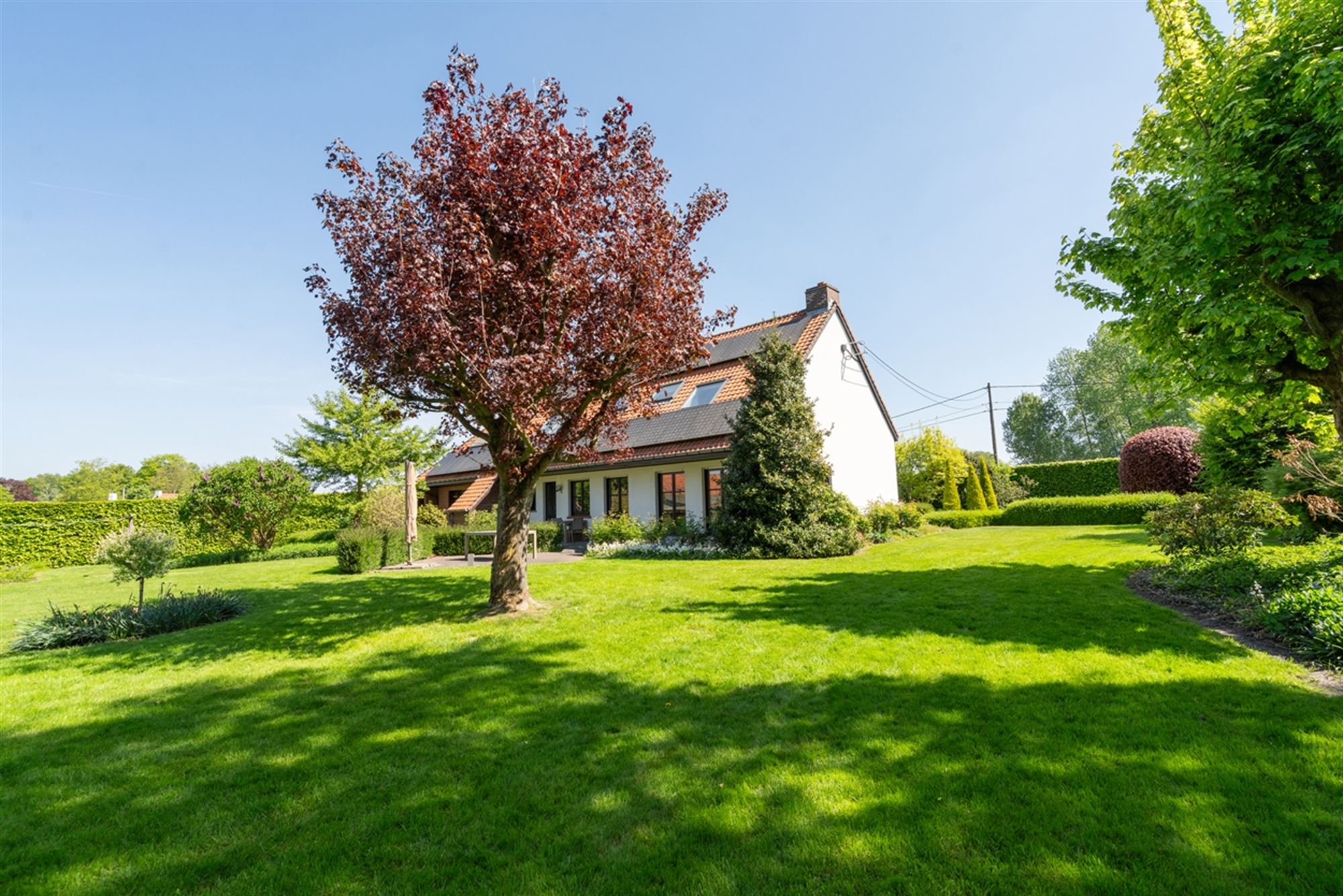 Charmante instapklare VILLA op een perceel van 2.700m² foto 5