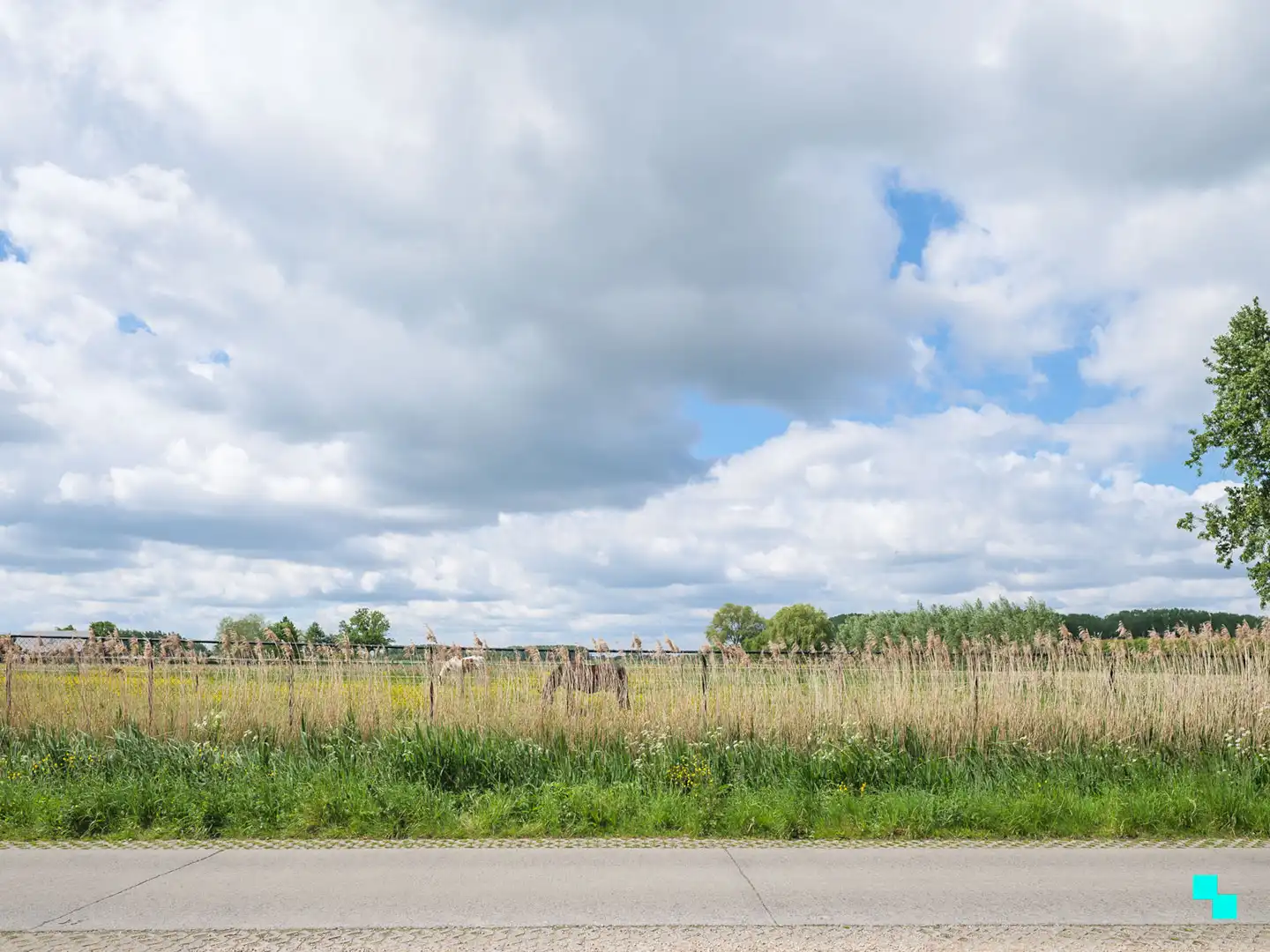 Charmante woning met magazijn te Balegem foto 31