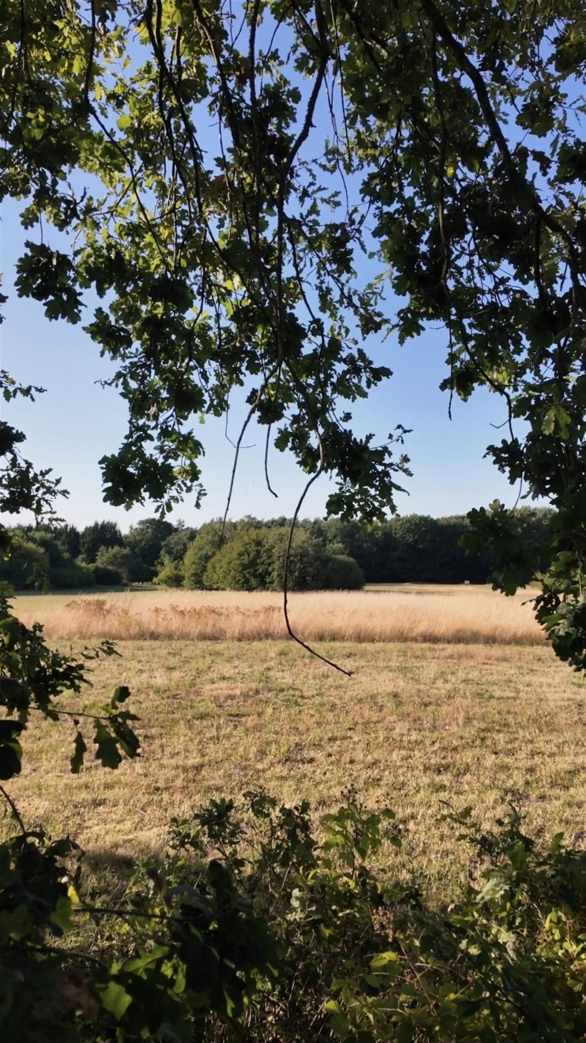 Bouwgrond op een uitzonderlijke locatie in Oud-Heverlee foto 3