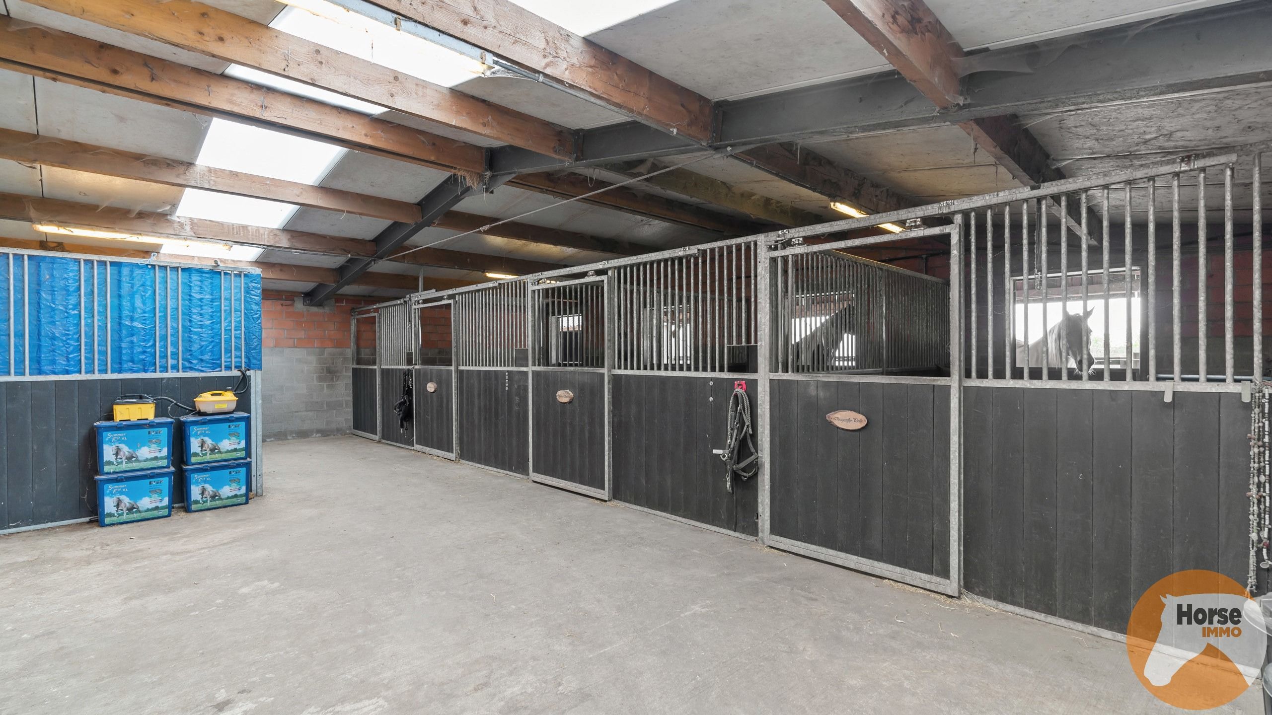 RAVELS - Instapklare woning met loods en stallen op ca.1,6Ha foto 25