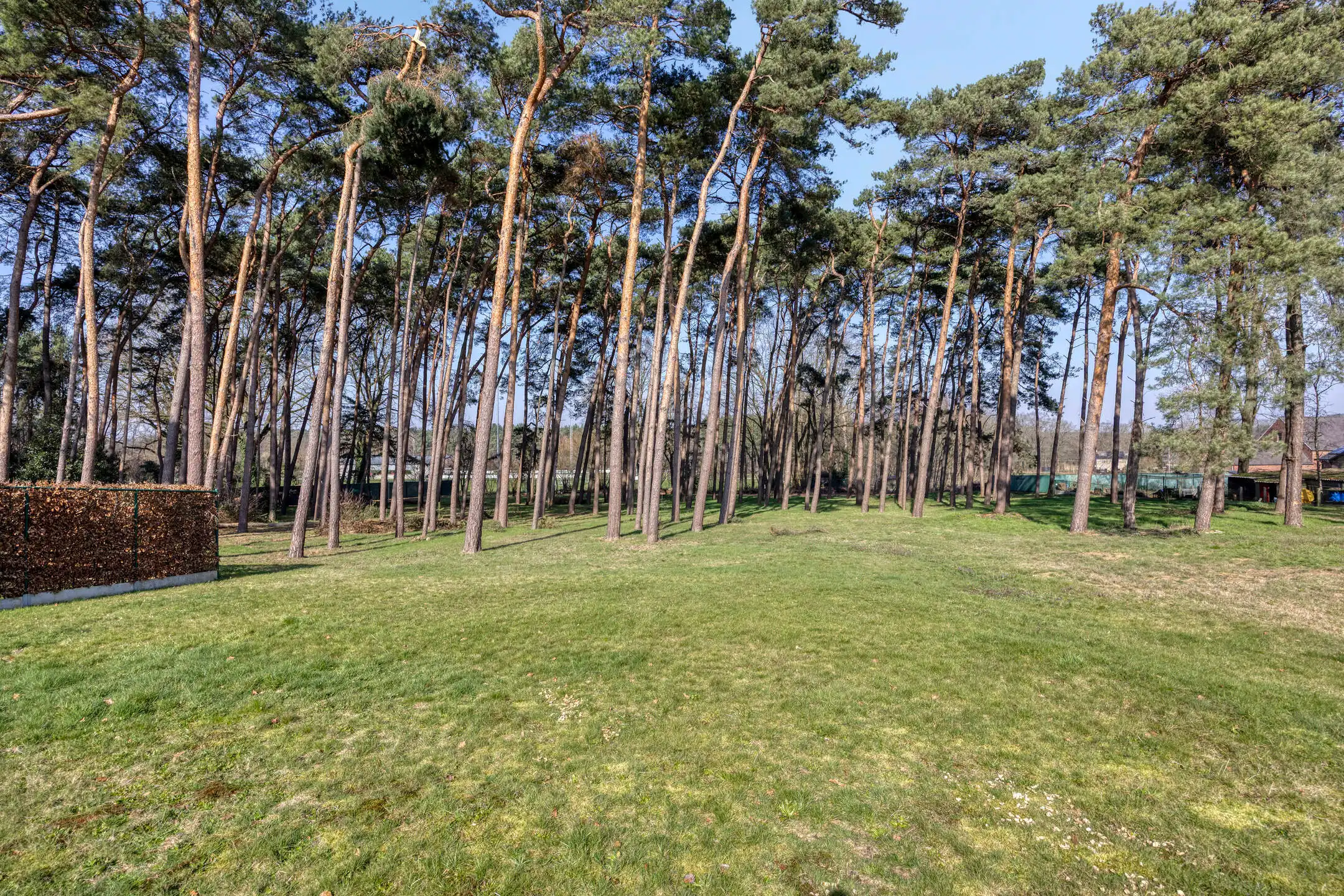 Vrijstaande, ruime villa (314m2) op een perceel van 30 are foto 29