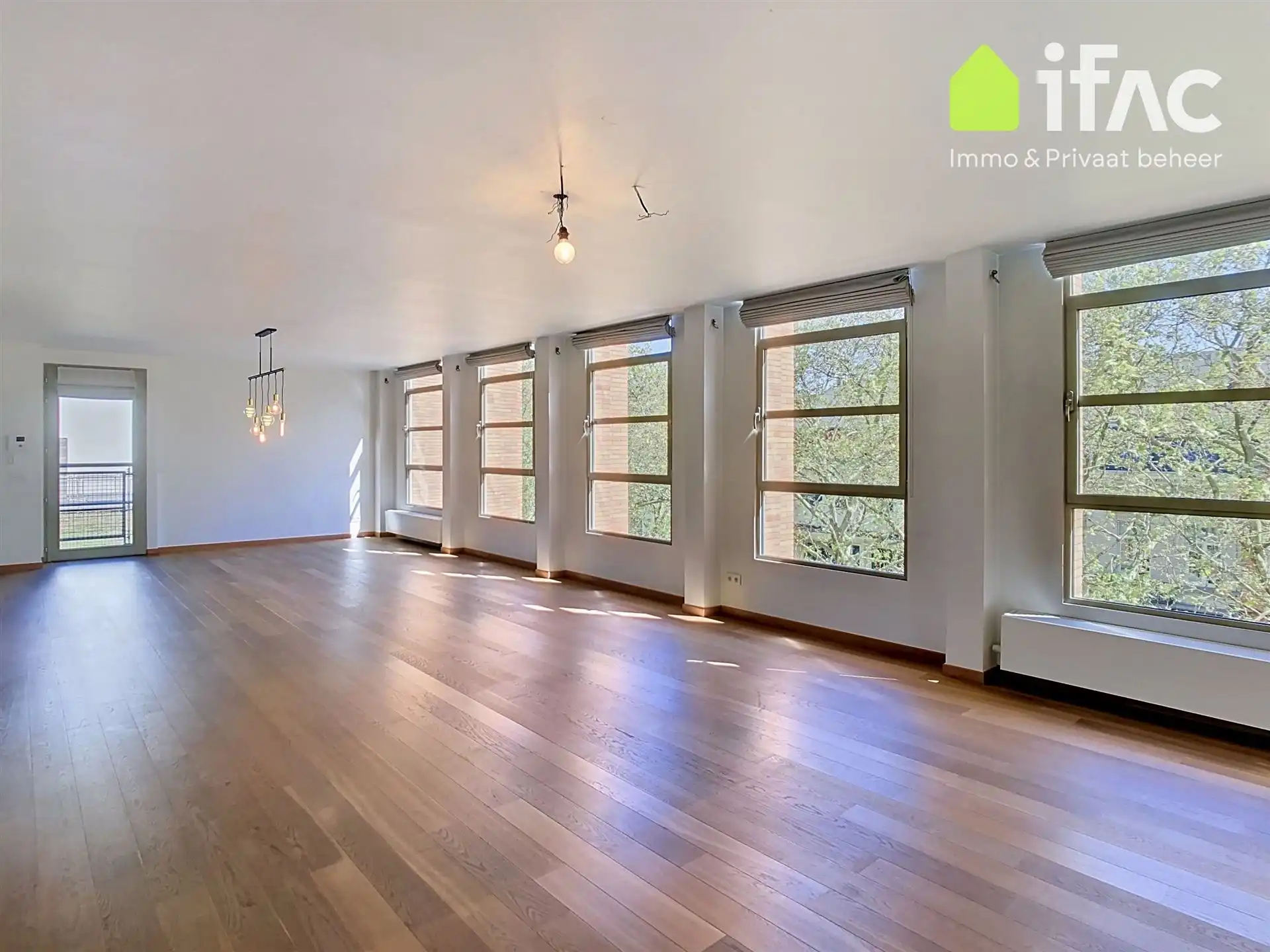 Lichtrijke loft met grote leefruimte nabij het park foto 2