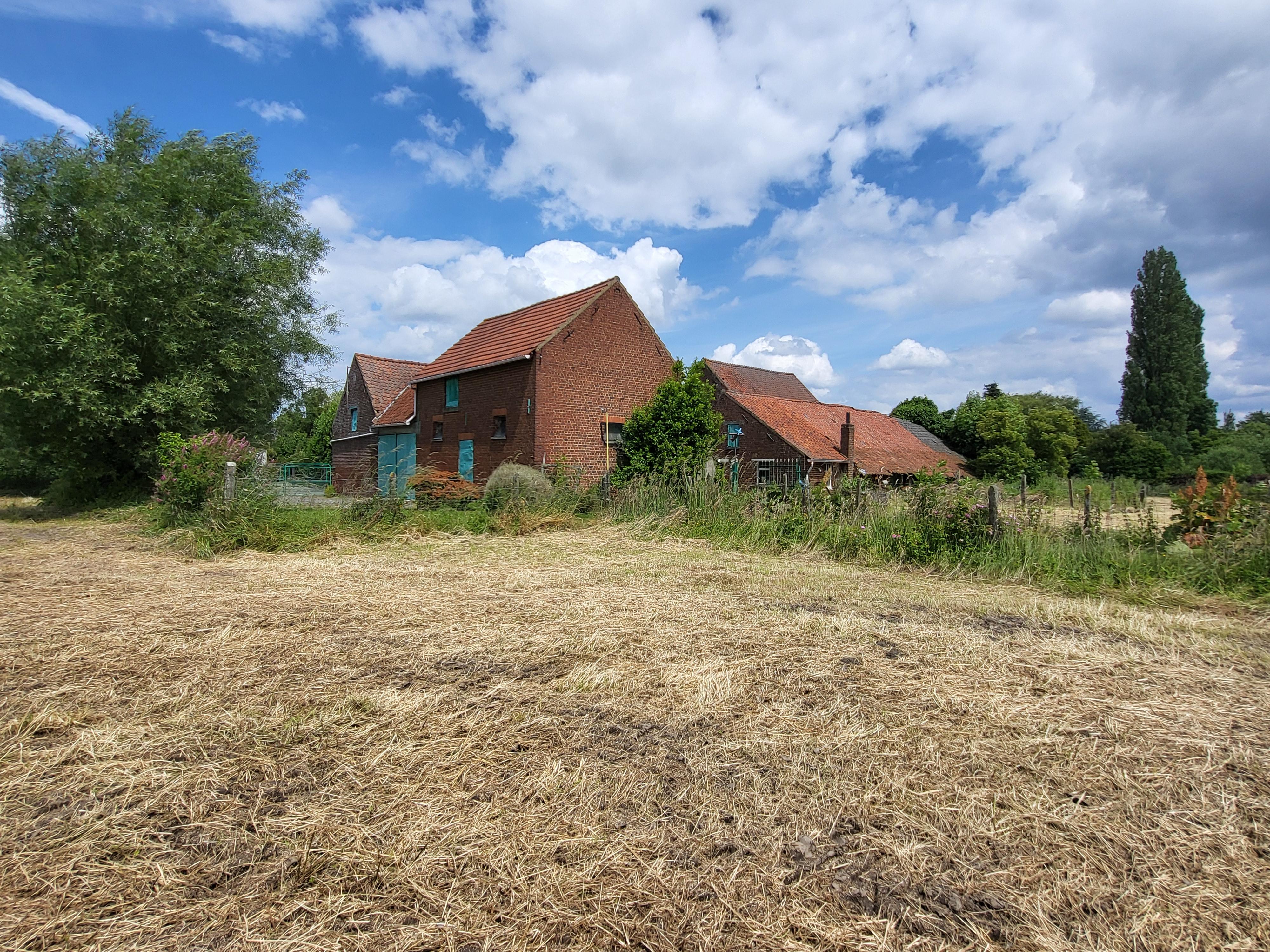 Charmant te renoveren vierkanthoeve op 2696m² met panoramisch uitzicht op de velden.  foto 3