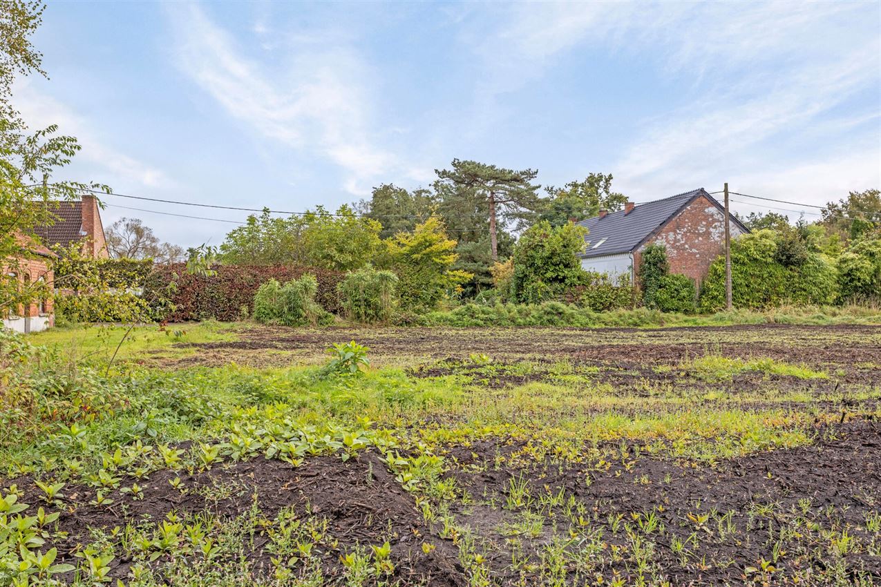 Unieke kans: Te renoveren of nieuw te bouwen hoeve op 31a40 in een rustige, landelijke omgeving foto 9