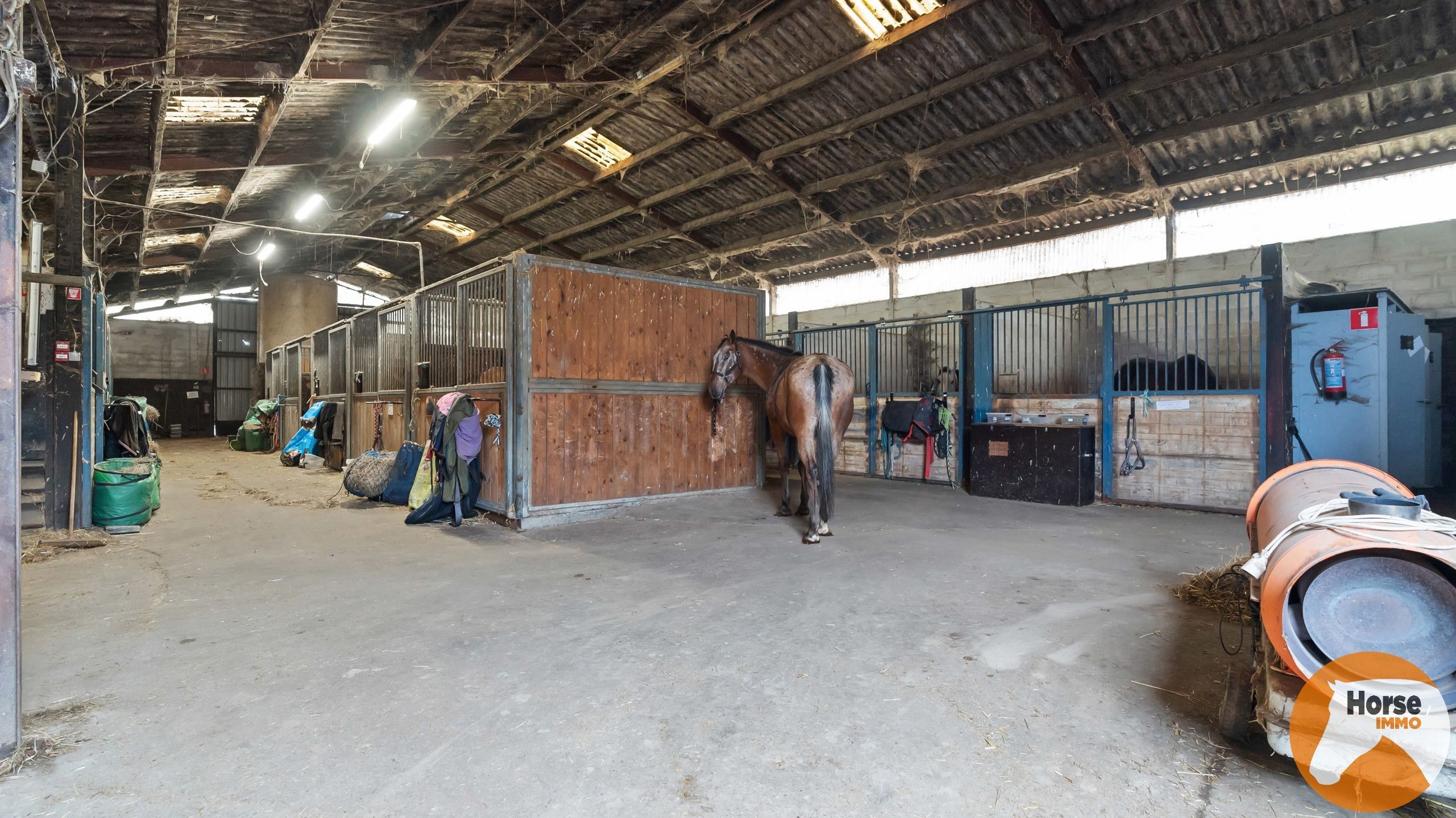 HASSELT (Kortessem) - Manege met veel potentieel! foto 10
