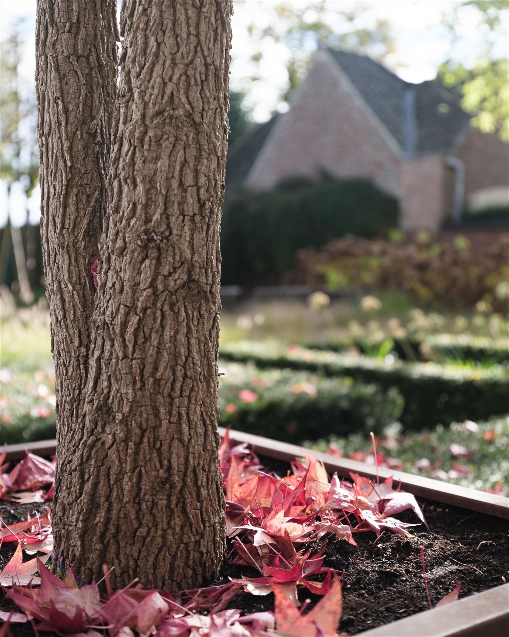 Hoogwaardig afgewerkte herenwoning met zicht op groen en volledige privacy in het hart van Bottelare. foto 14