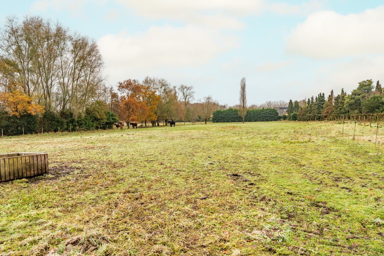 Uitzonderlijk gelegen hoeve op 3,5 ha foto 4
