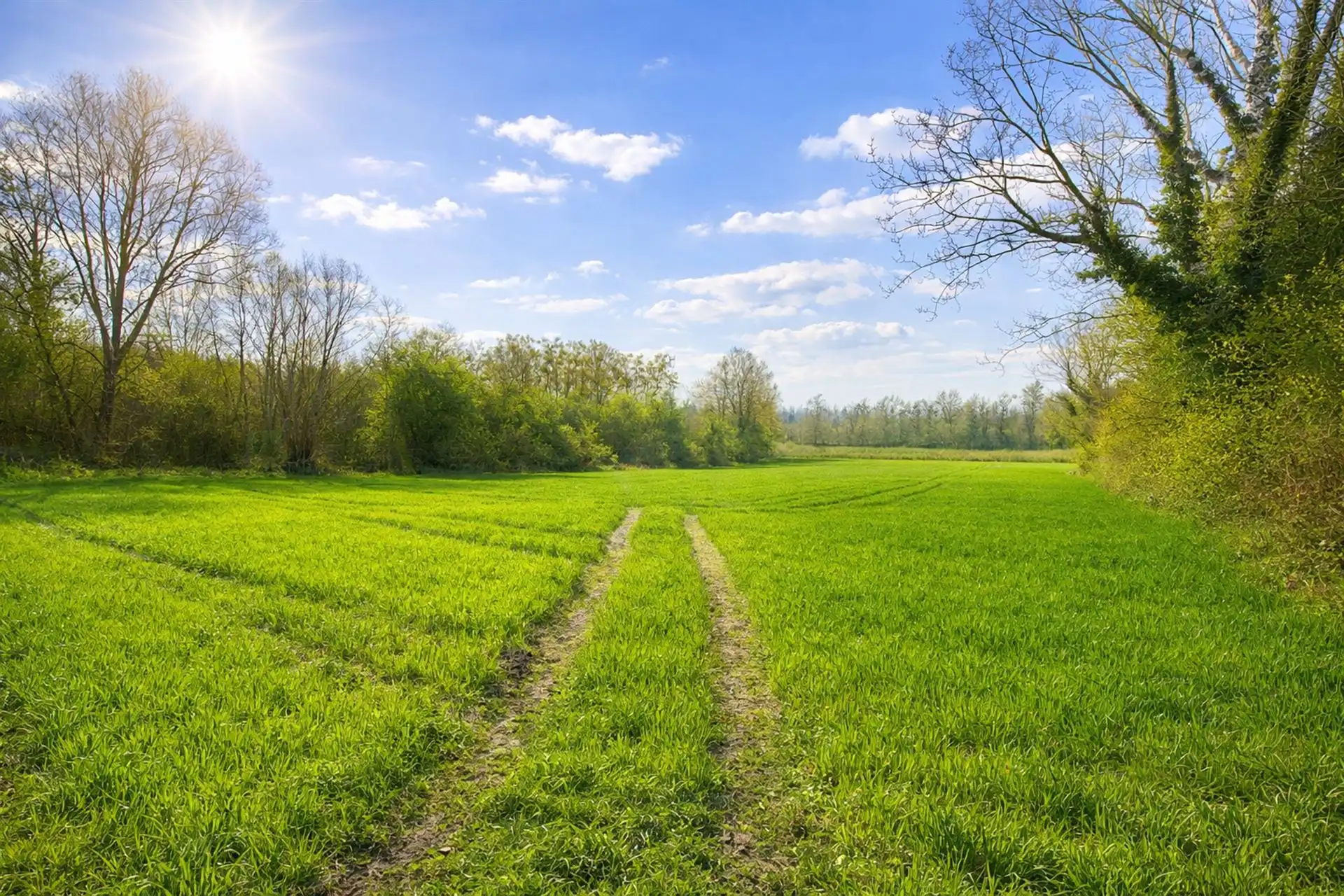 Bouwgrond: vergunning voor 3 woningen! foto 4