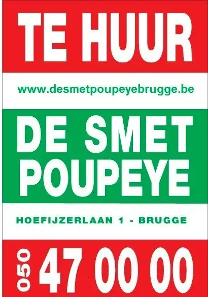 Ruime garagebox te huur in Brugge foto 7