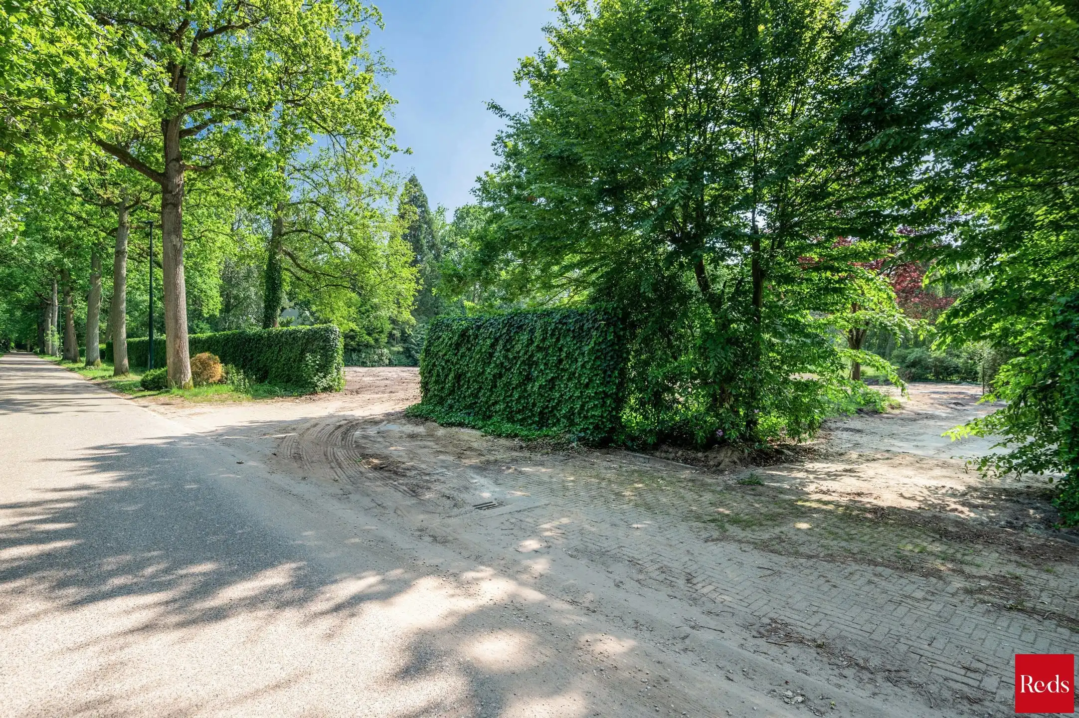 Exclusieve bouwgrond in één van de mooiste lanen van Schilde foto 3
