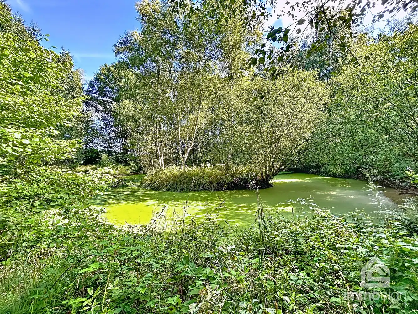 Uniek stuk grond van 9.050 m² in Grote-Brogel/Peer! foto {{pictureIndex}}