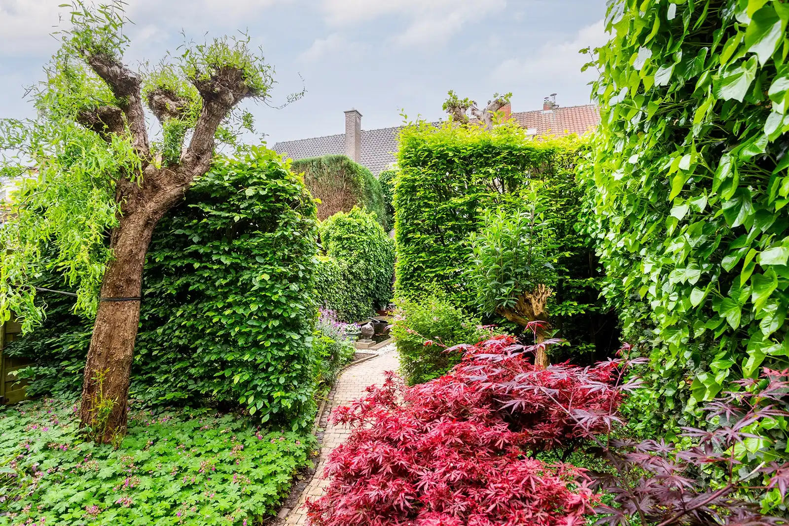 Instapklare bel-etagewoning met 3 slaapkamers en groene tuin foto 15