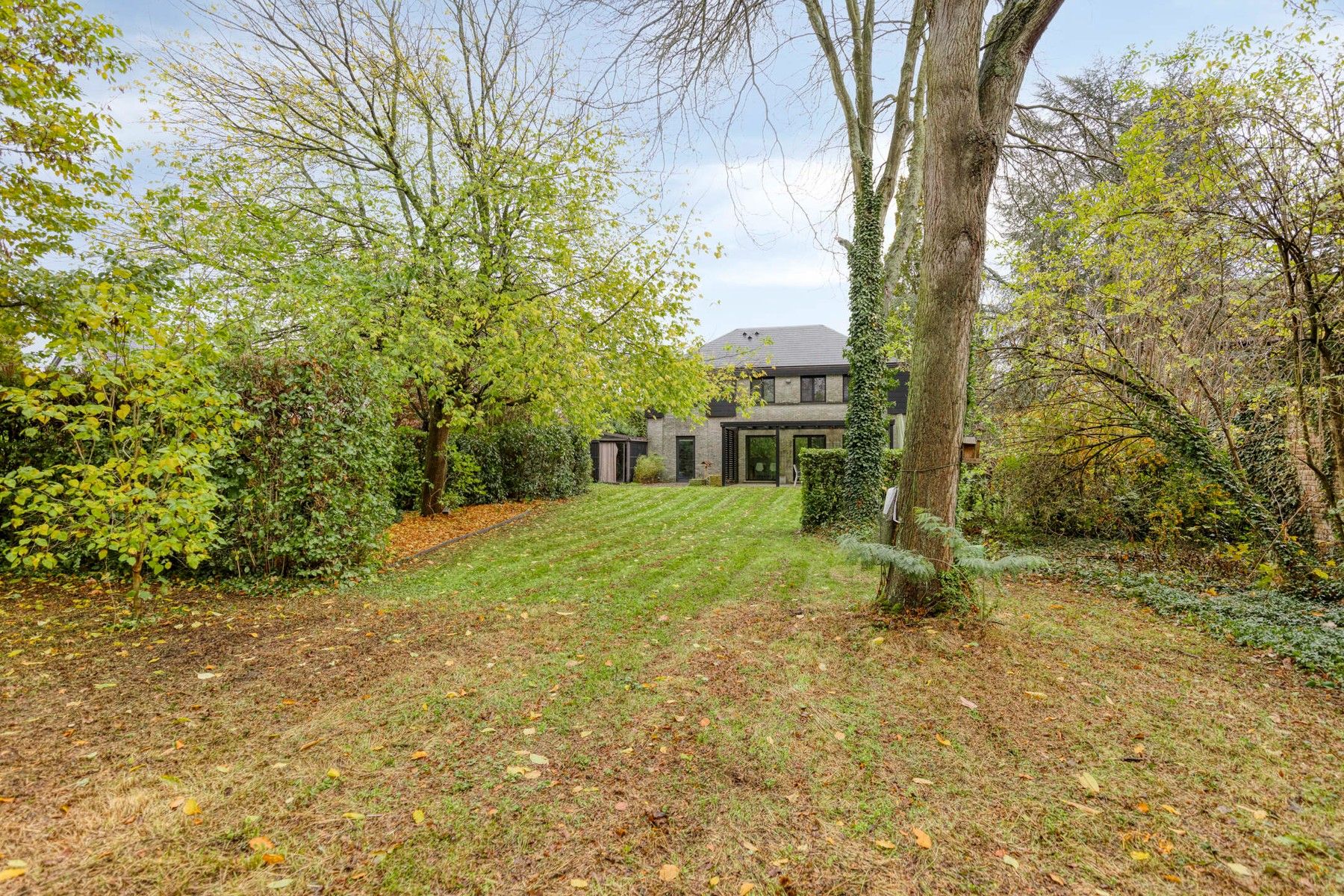 Rustig gelegen villa in het groen foto 2