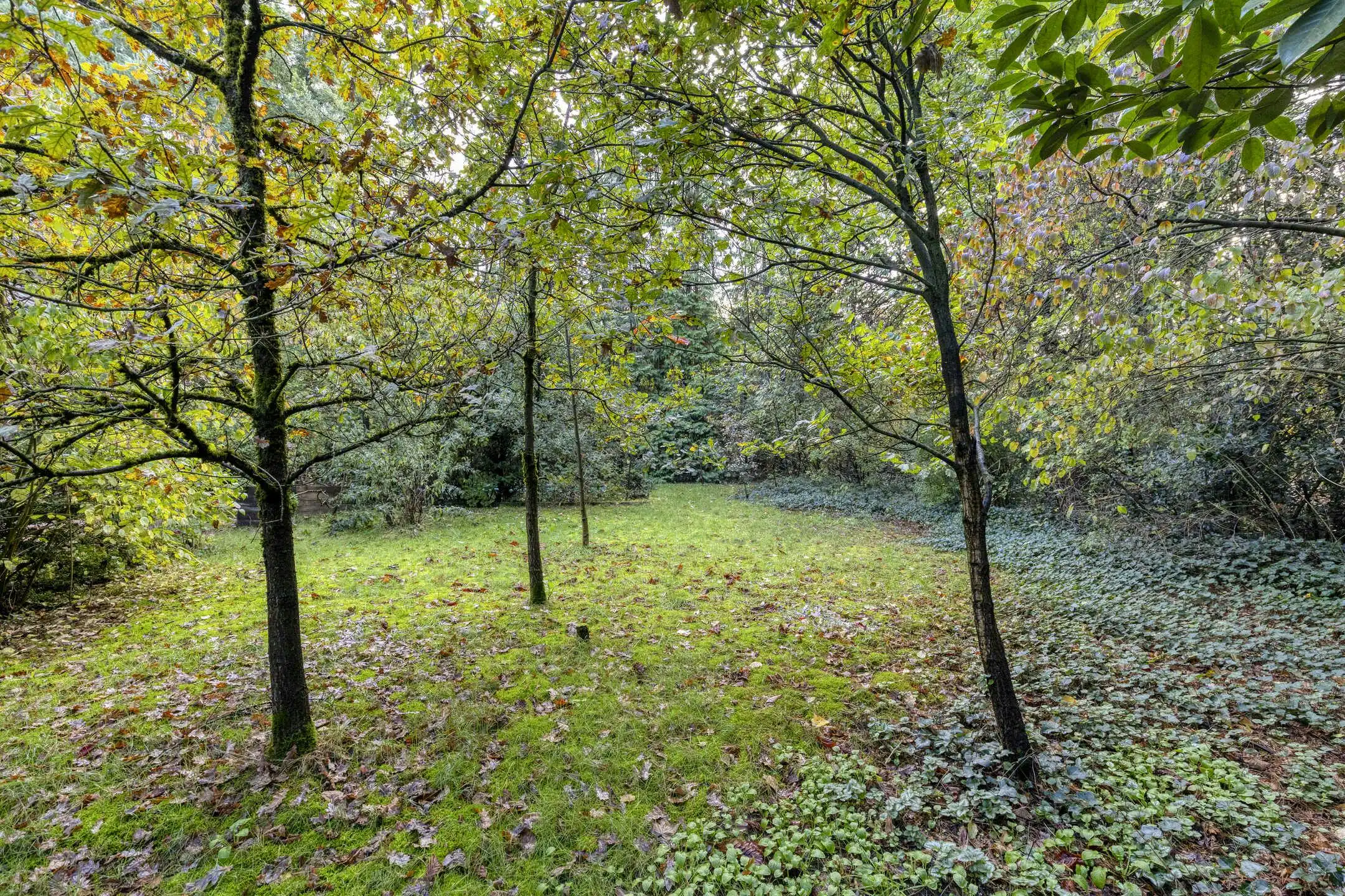 Woning met 2 slaapkamers in het woonbos van Essen-Wildert! foto 4