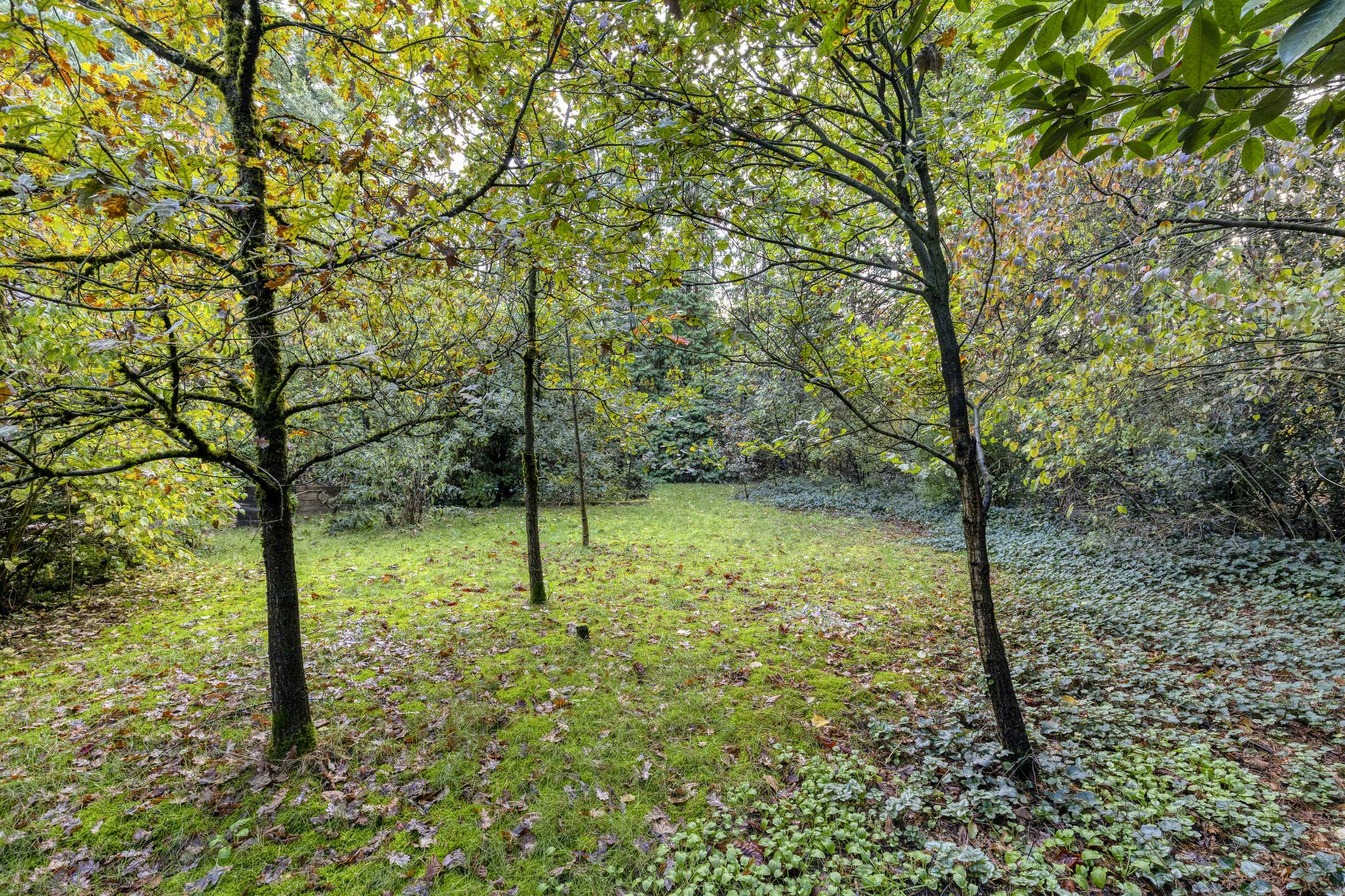 Woning met 2 slaapkamers in het woonbos van Essen-Wildert! foto 4