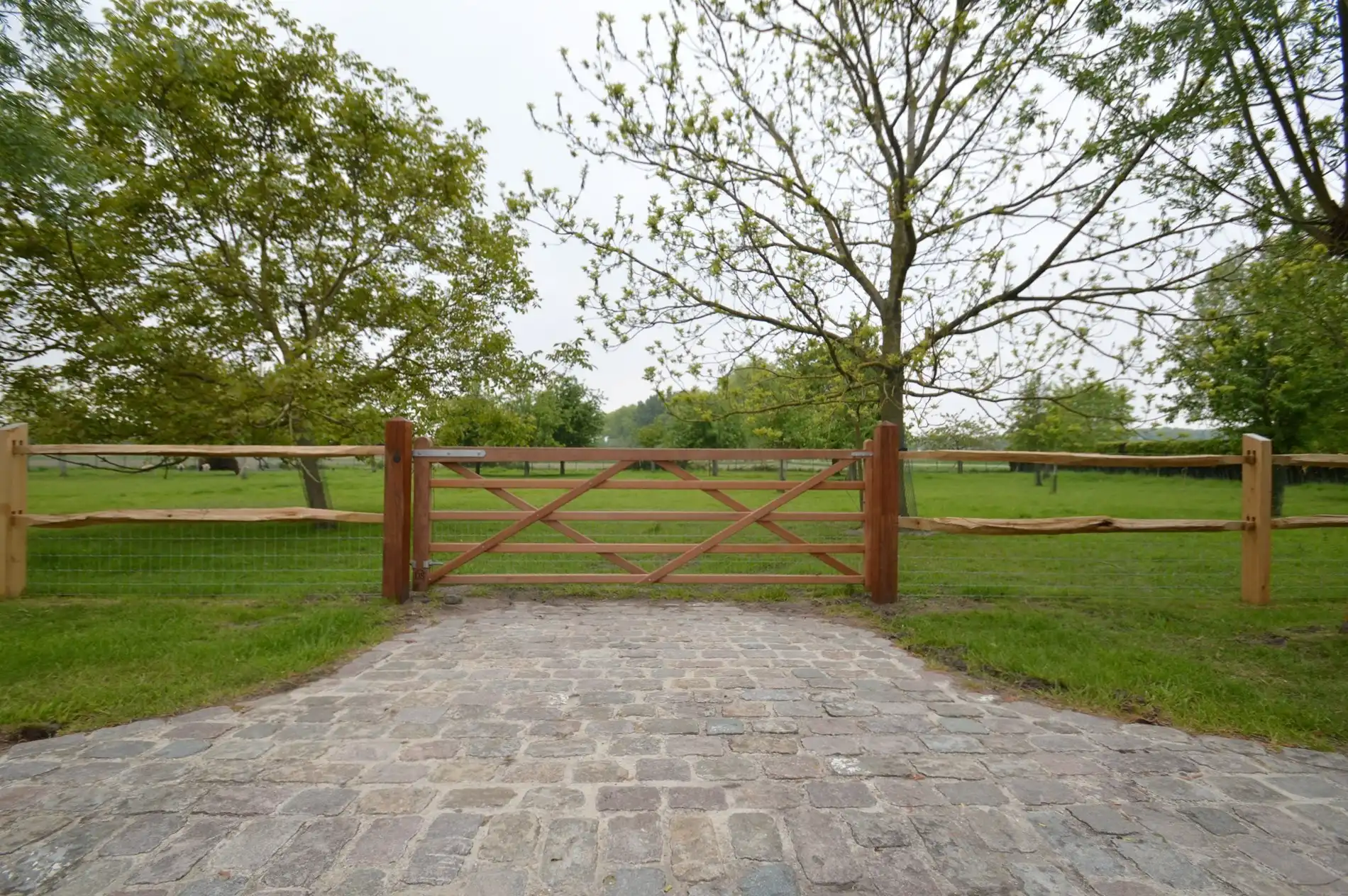 Schitterende hoeve met weilanden - Geen functiewijziging nodig foto 9