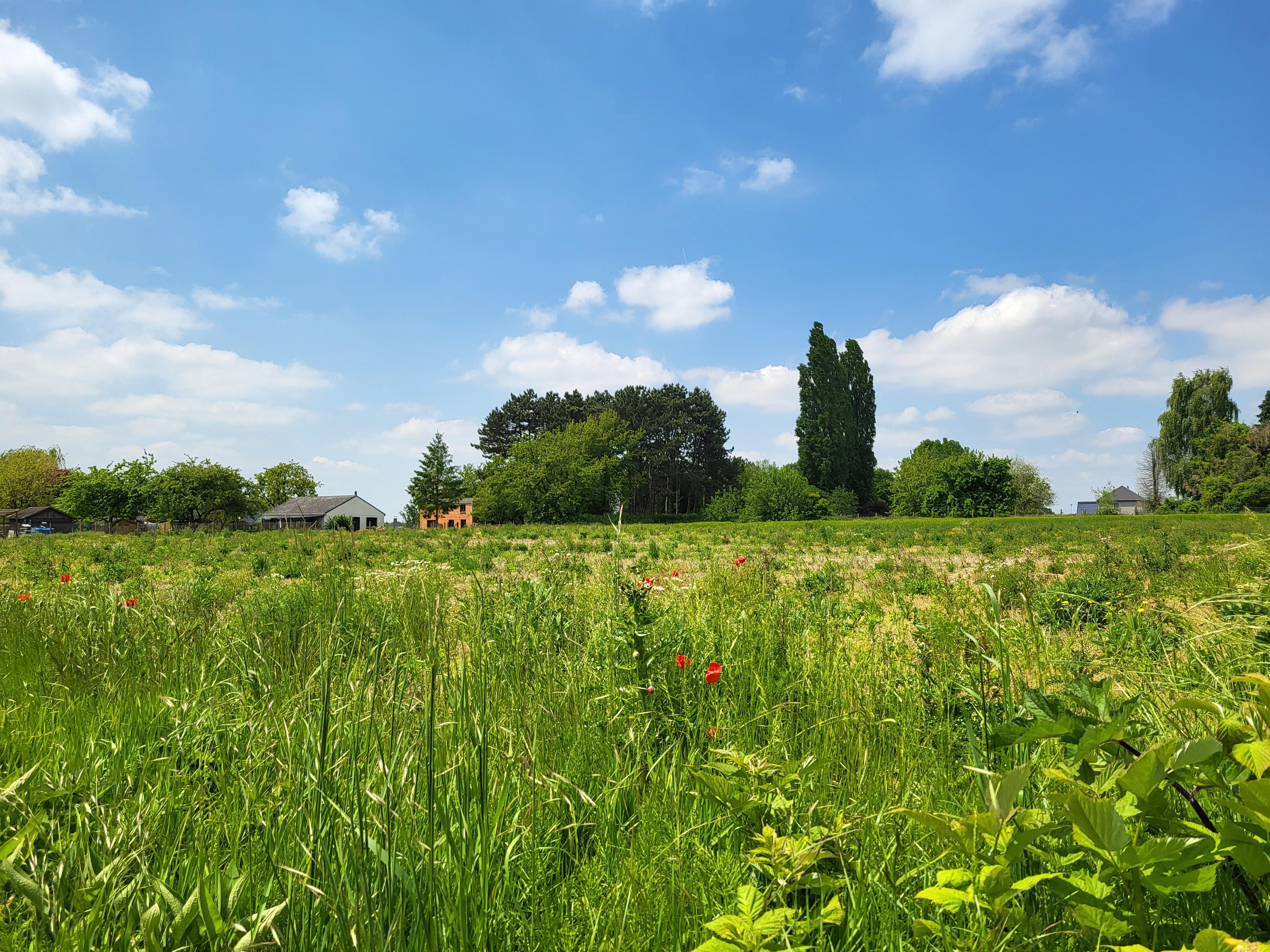 Woning 8 is een halfopen bebouwing  foto 6