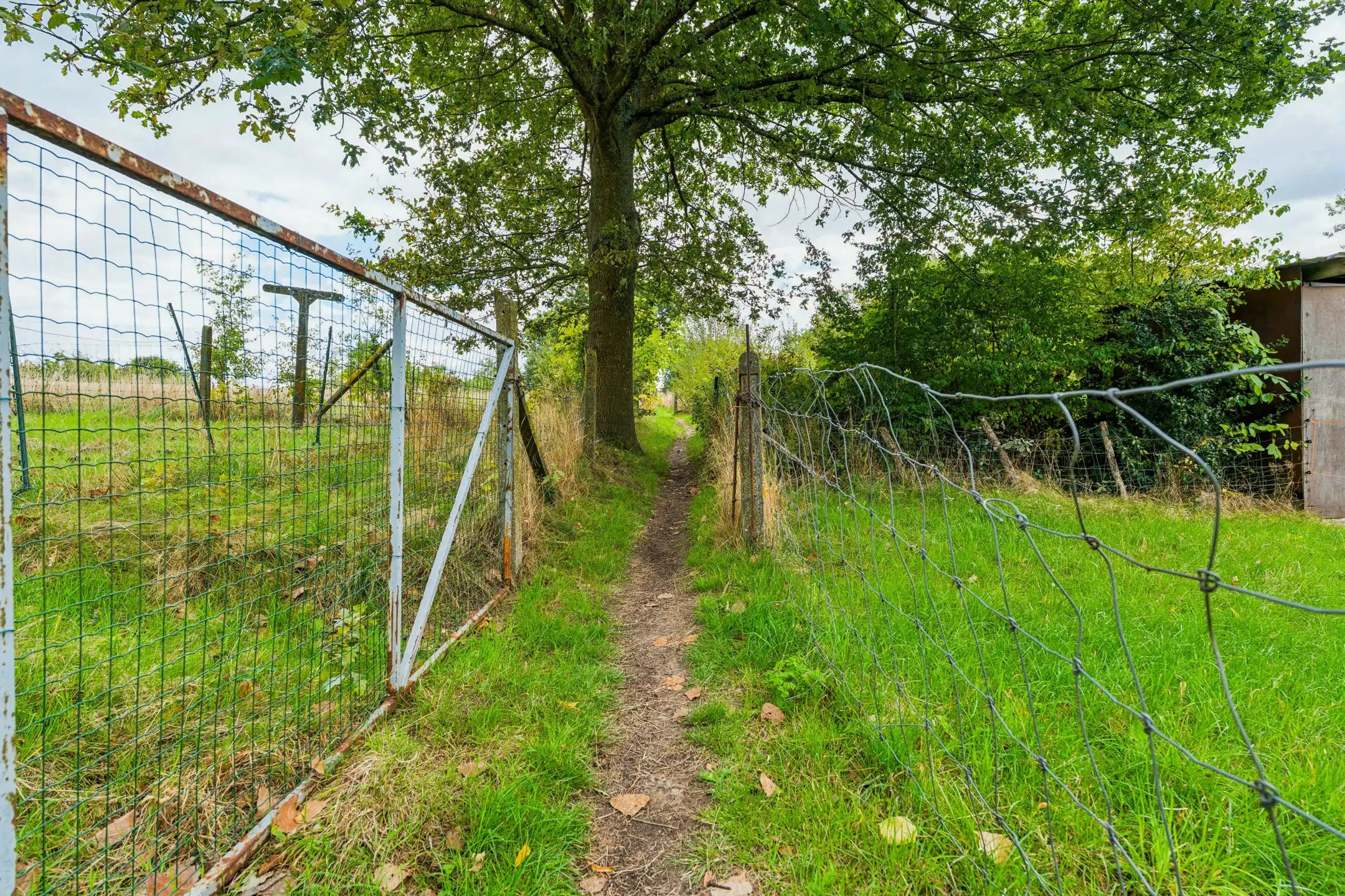 Ruime bouwgrond voor OB van 34a 52ca in landelijke omgeving  foto 5