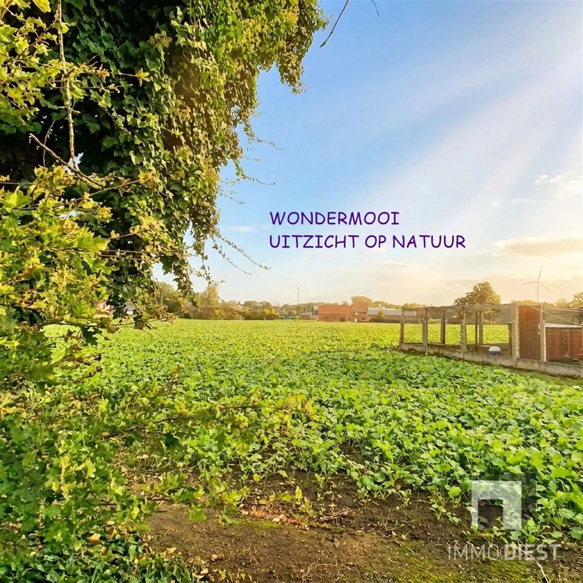 Gelijkvloerse gerenoveerde woning -  EPC C foto 25