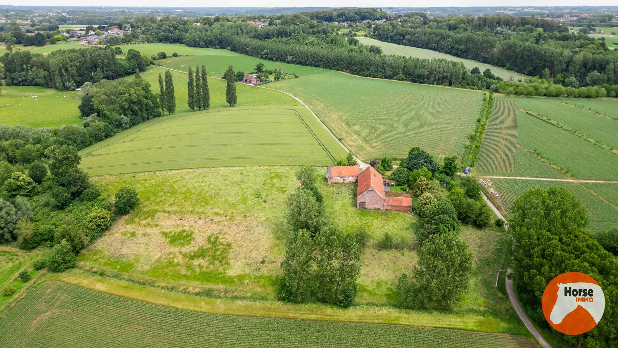 VOLLEZELE - Uniek gelegen karakterhoeve op ca. 2,4ha foto 5