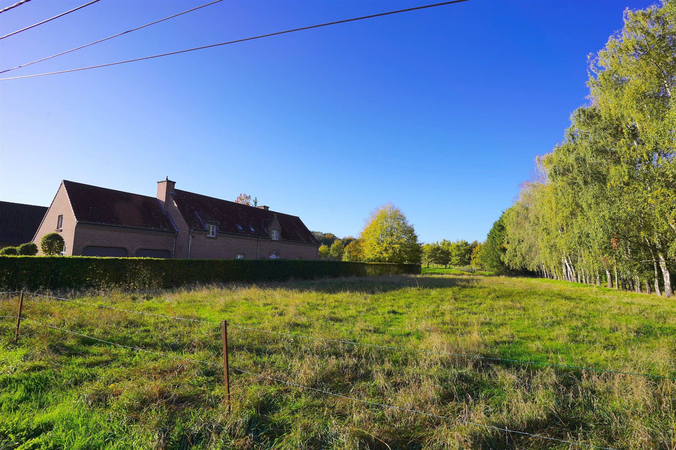 FIRST SALE VR 21/11 (16.00 - 20.00) & ZA 22/11 (9.00 - 18.00) foto 2